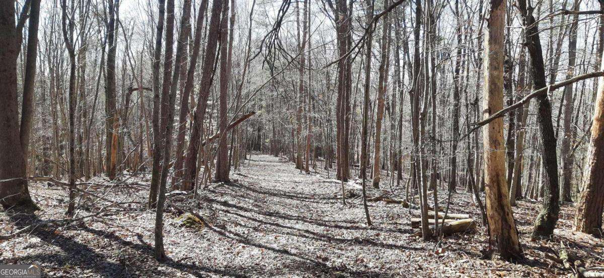 11953 Henderson Mountain Road Property Photo 18