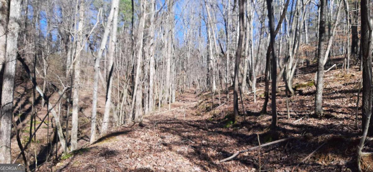 11953 Henderson Mountain Road Property Photo 20