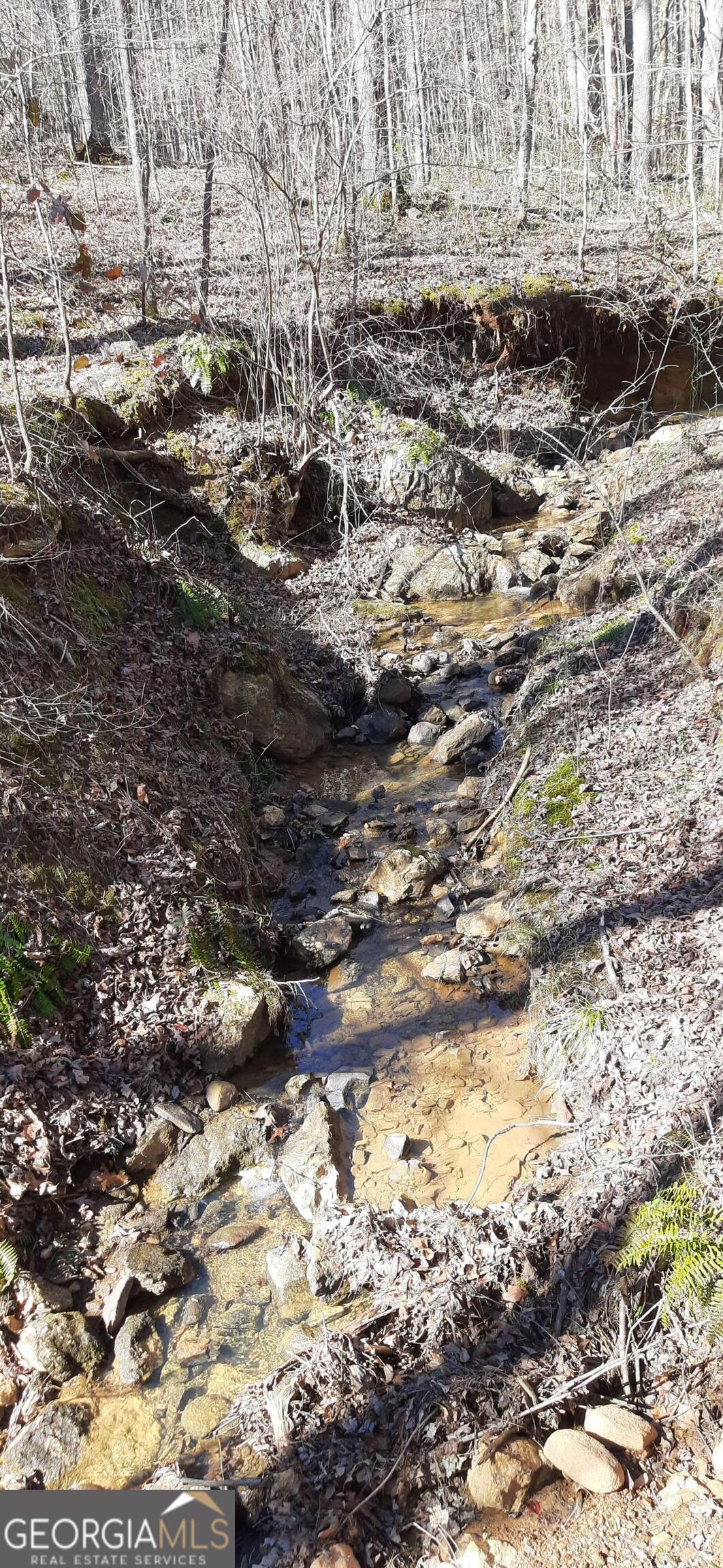 11953 Henderson Mountain Road Property Photo 21
