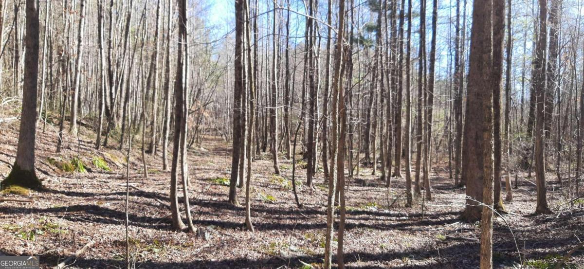 11953 Henderson Mountain Road Property Photo 24