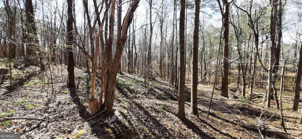 11953 Henderson Mountain Road Property Photo 27