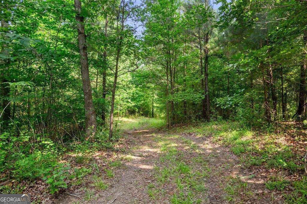 3030 Demooney Road Property Photo 20