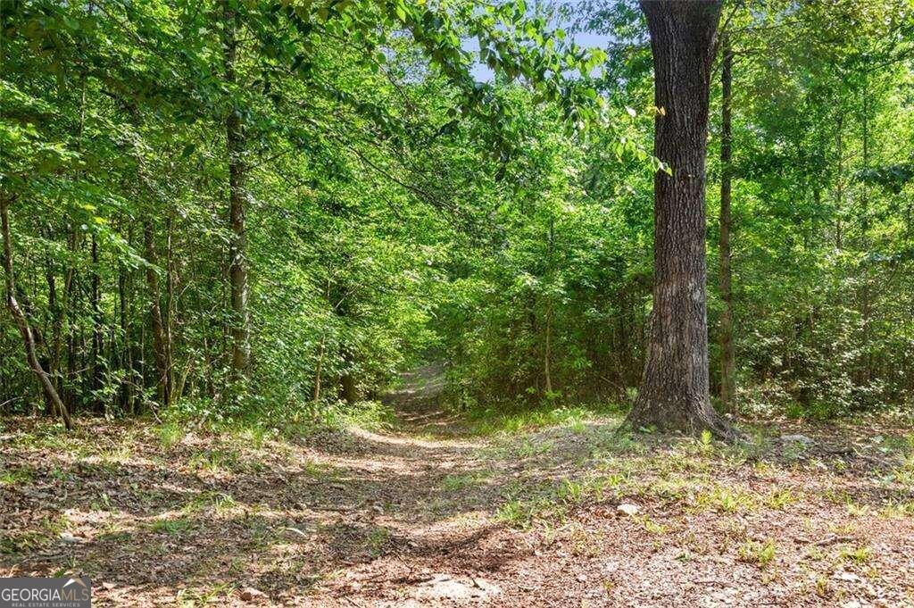 3143 Demooney Road Property Photo 14