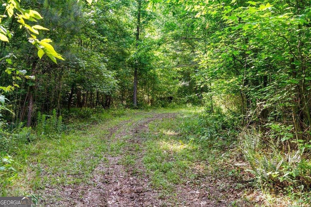 3143 Demooney Road Property Photo 18