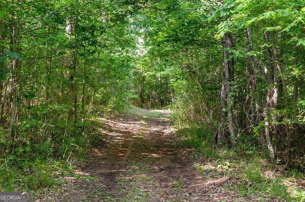 3143 Demooney Road Property Photo 21