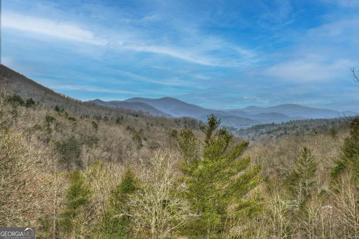 32 Ivy Ridge Drive Property Photo 4