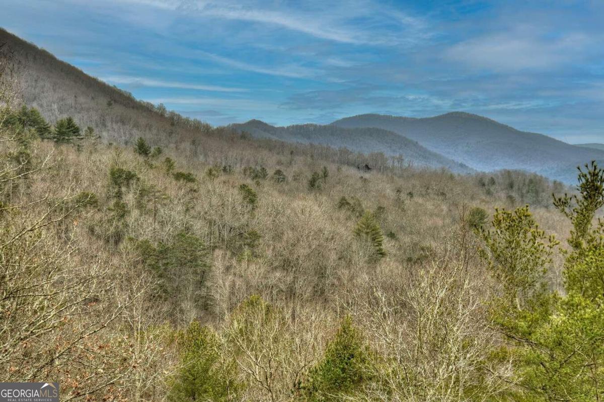 32 Ivy Ridge Drive Property Photo 6