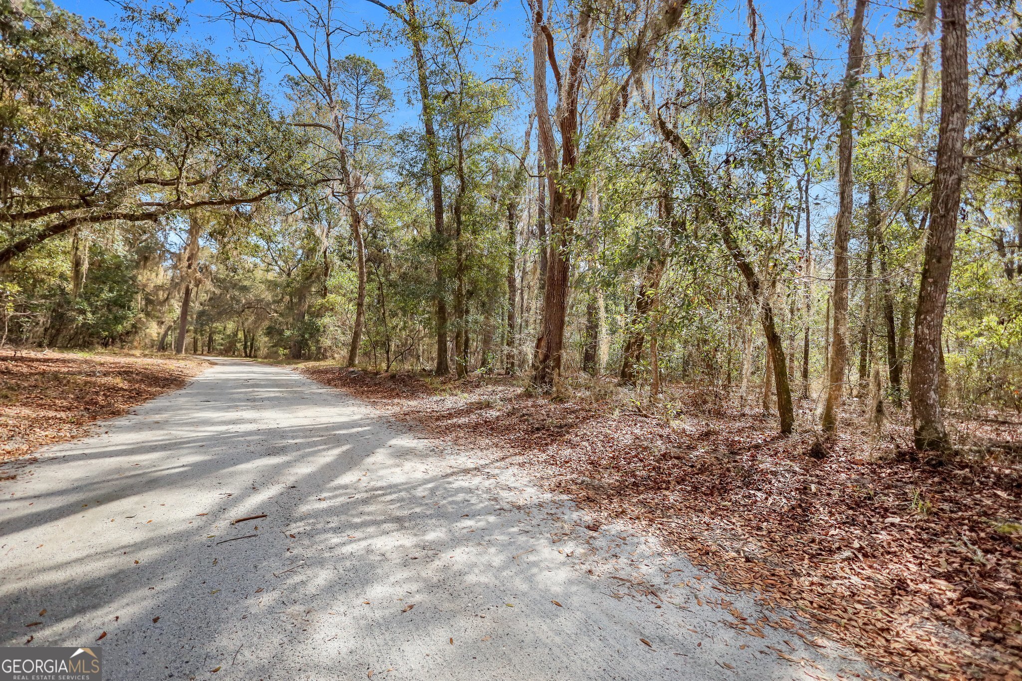 0 Drizzle Bluff Road Property Photo 2