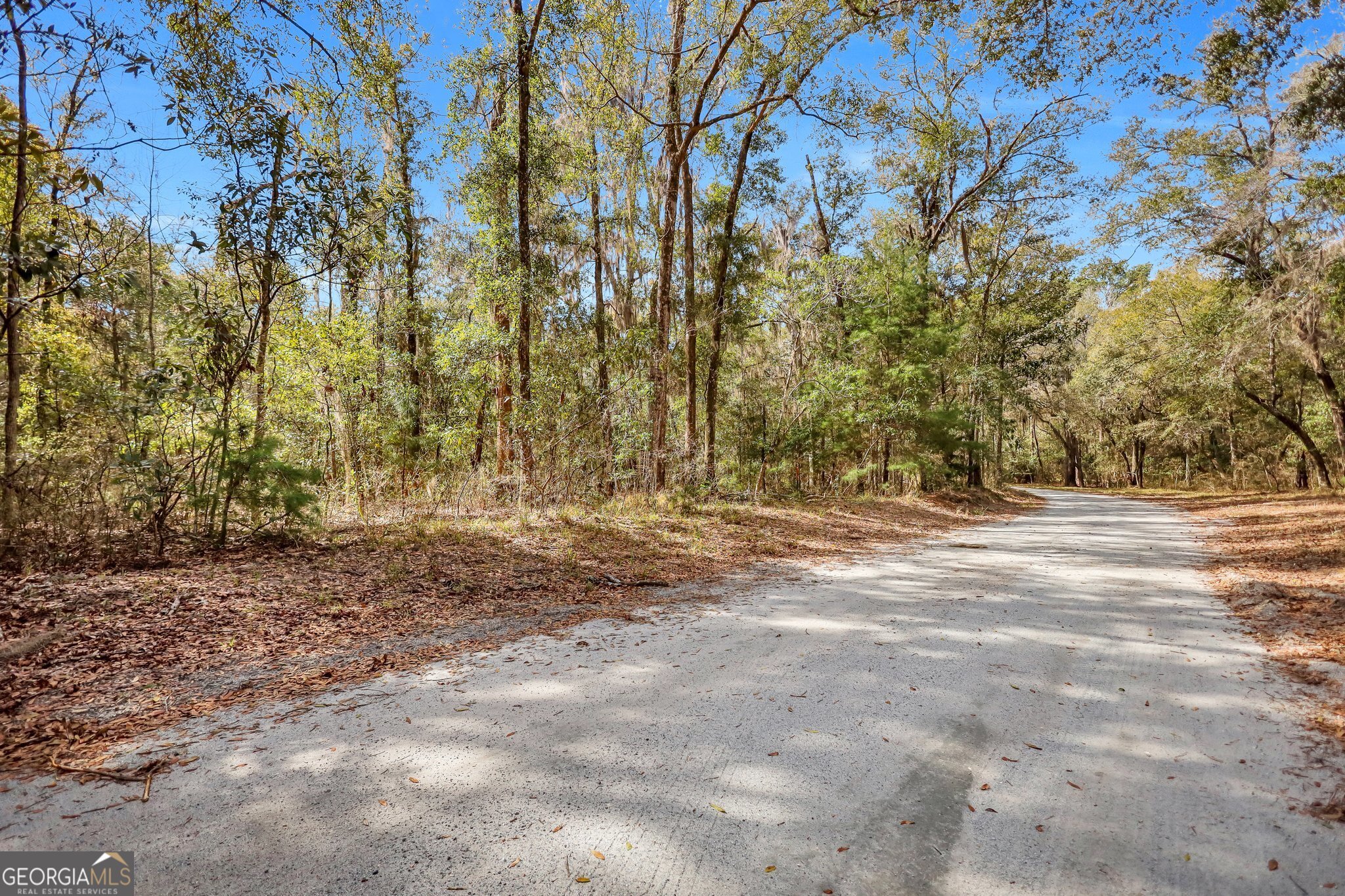 0 Drizzle Bluff Road Property Photo 6