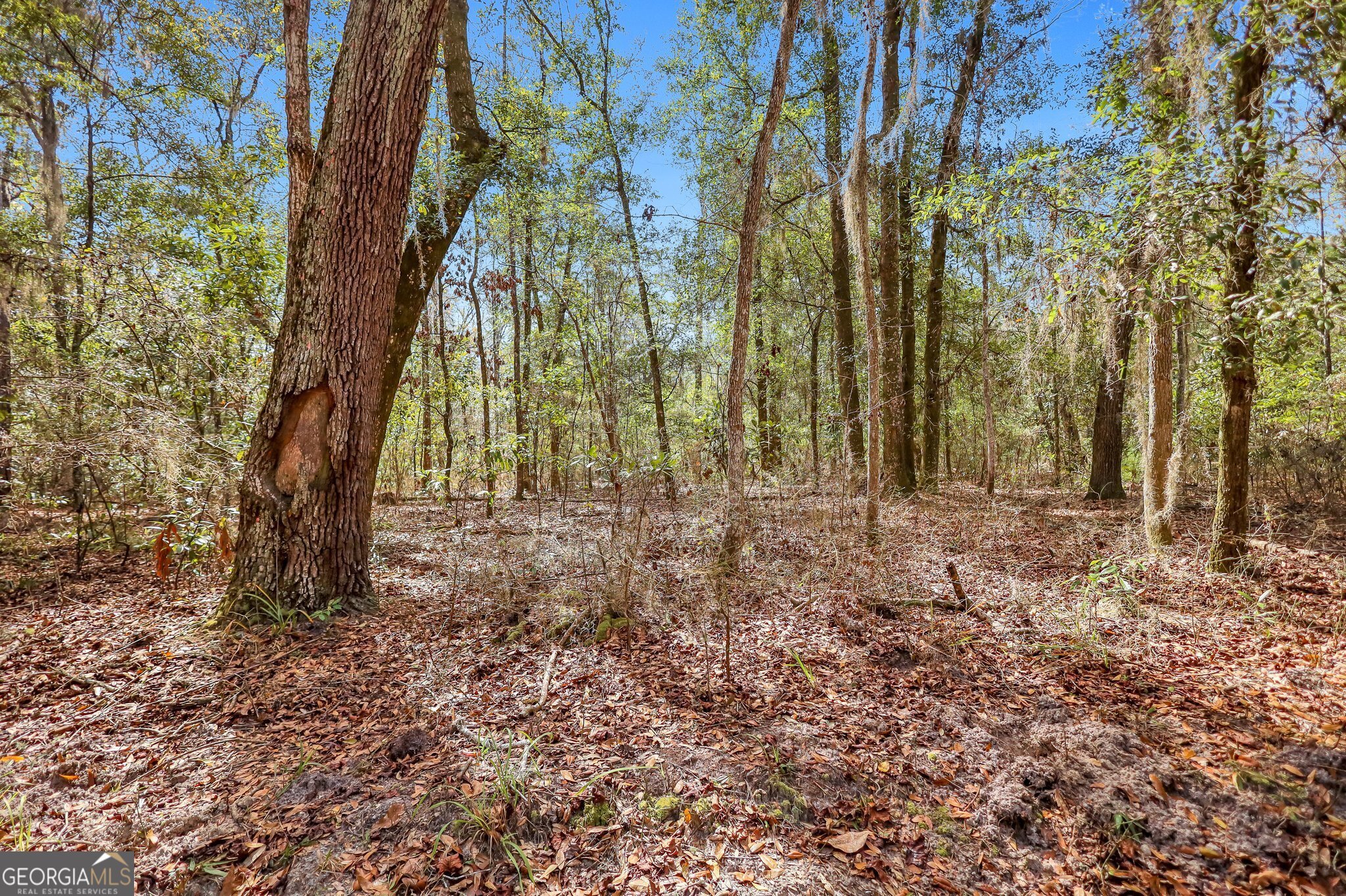 0 Drizzle Bluff Road Property Photo 7