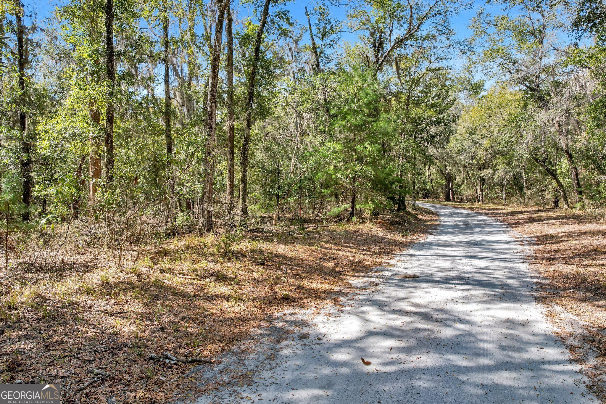0 Drizzle Bluff Road Property Photo 8