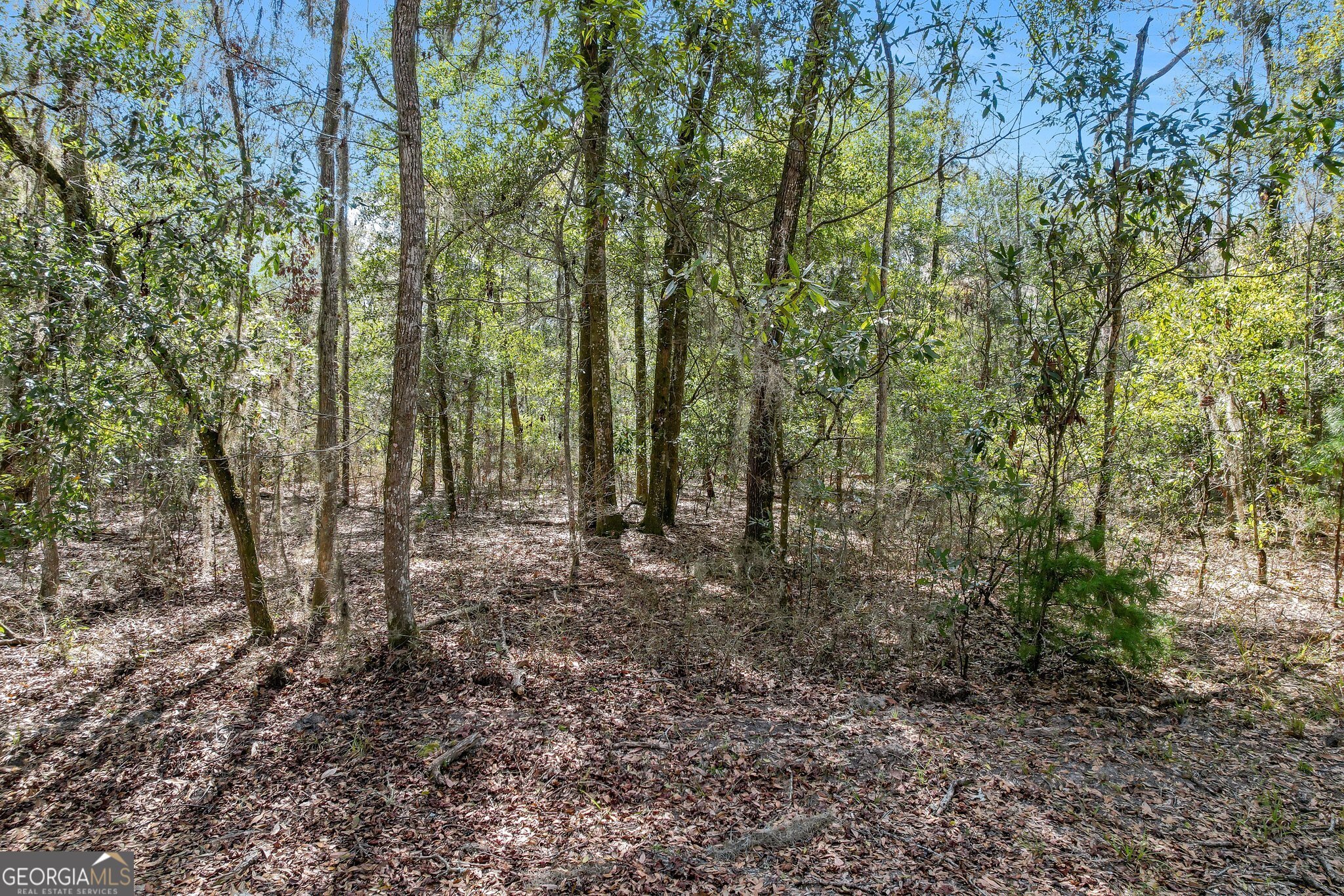 0 Drizzle Bluff Road Property Photo 9
