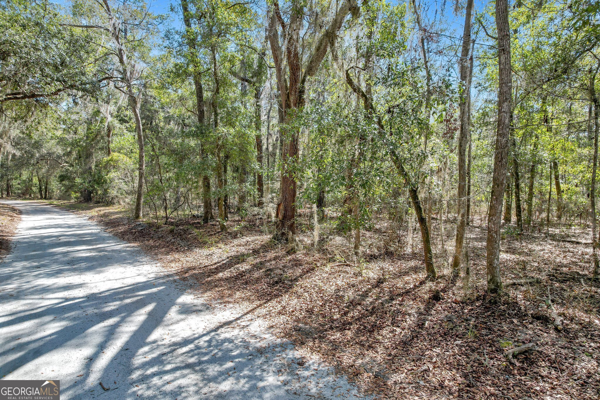 0 Drizzle Bluff Road Property Photo 10
