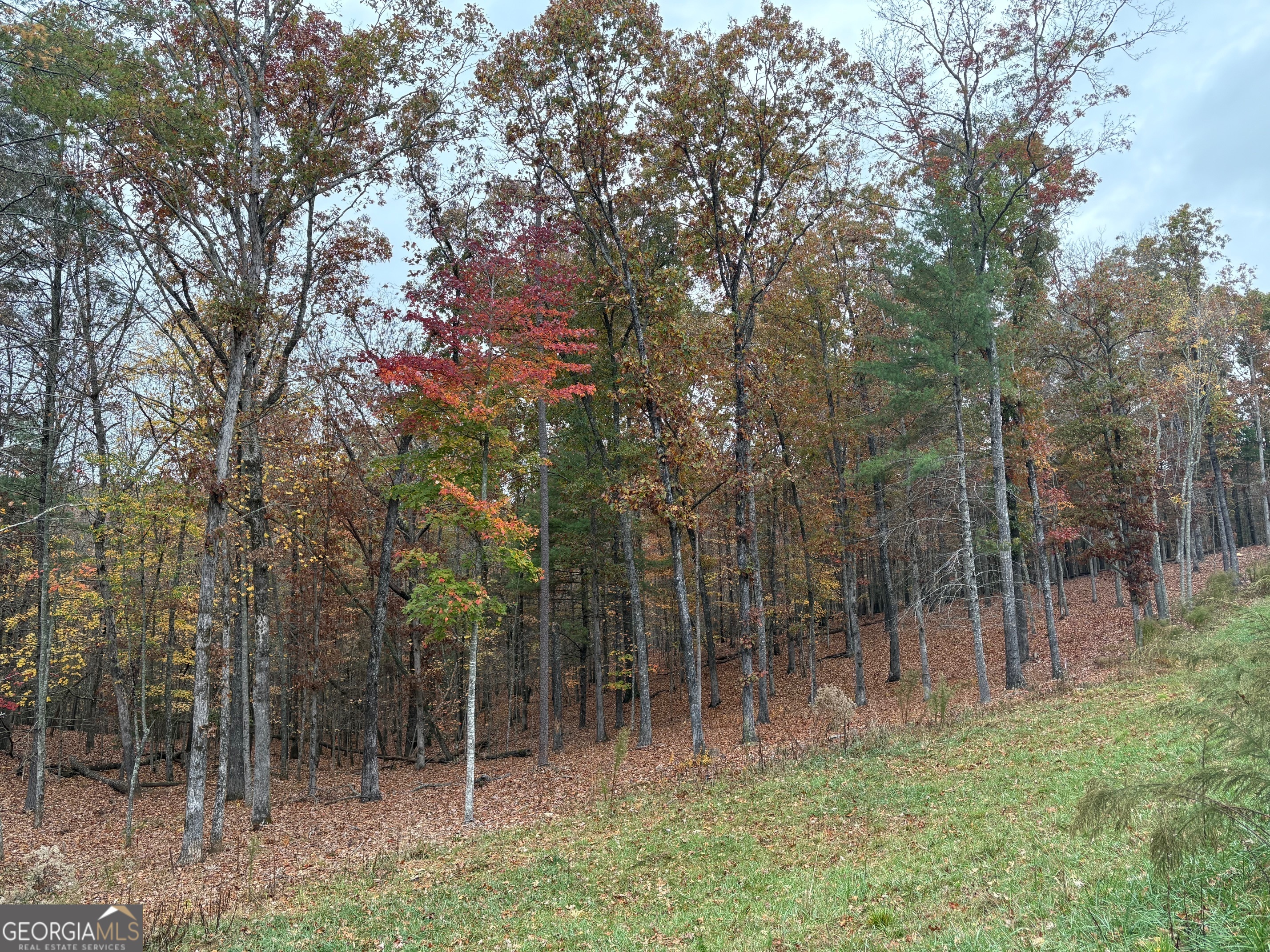 Lot 41 Ridge Drive Property Photo 1