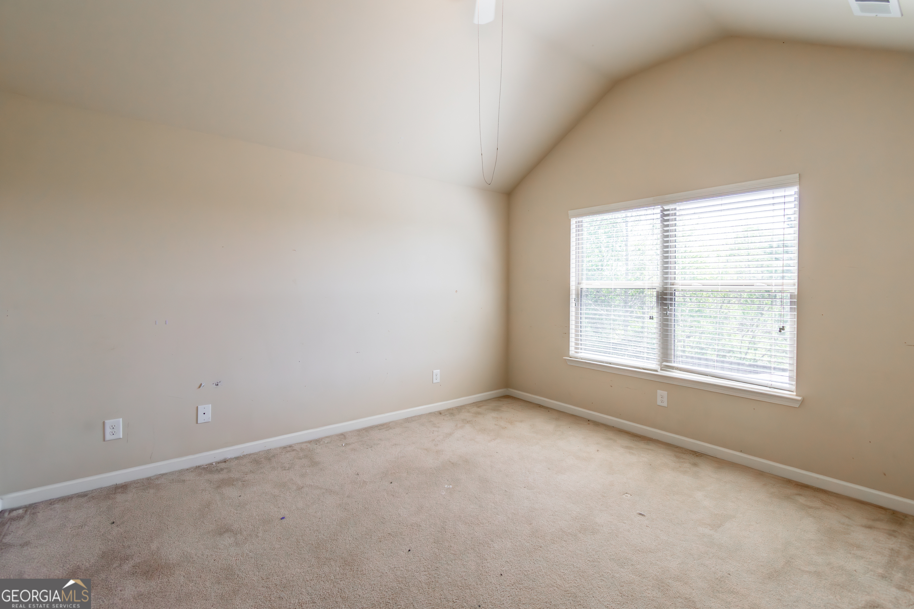 3356 Grove Landing Circle Property Photo 21