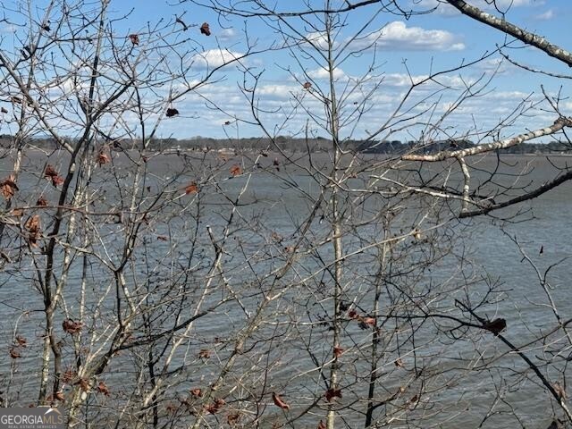 Lot 5 County Rd 531 # 5 Property Photo 1