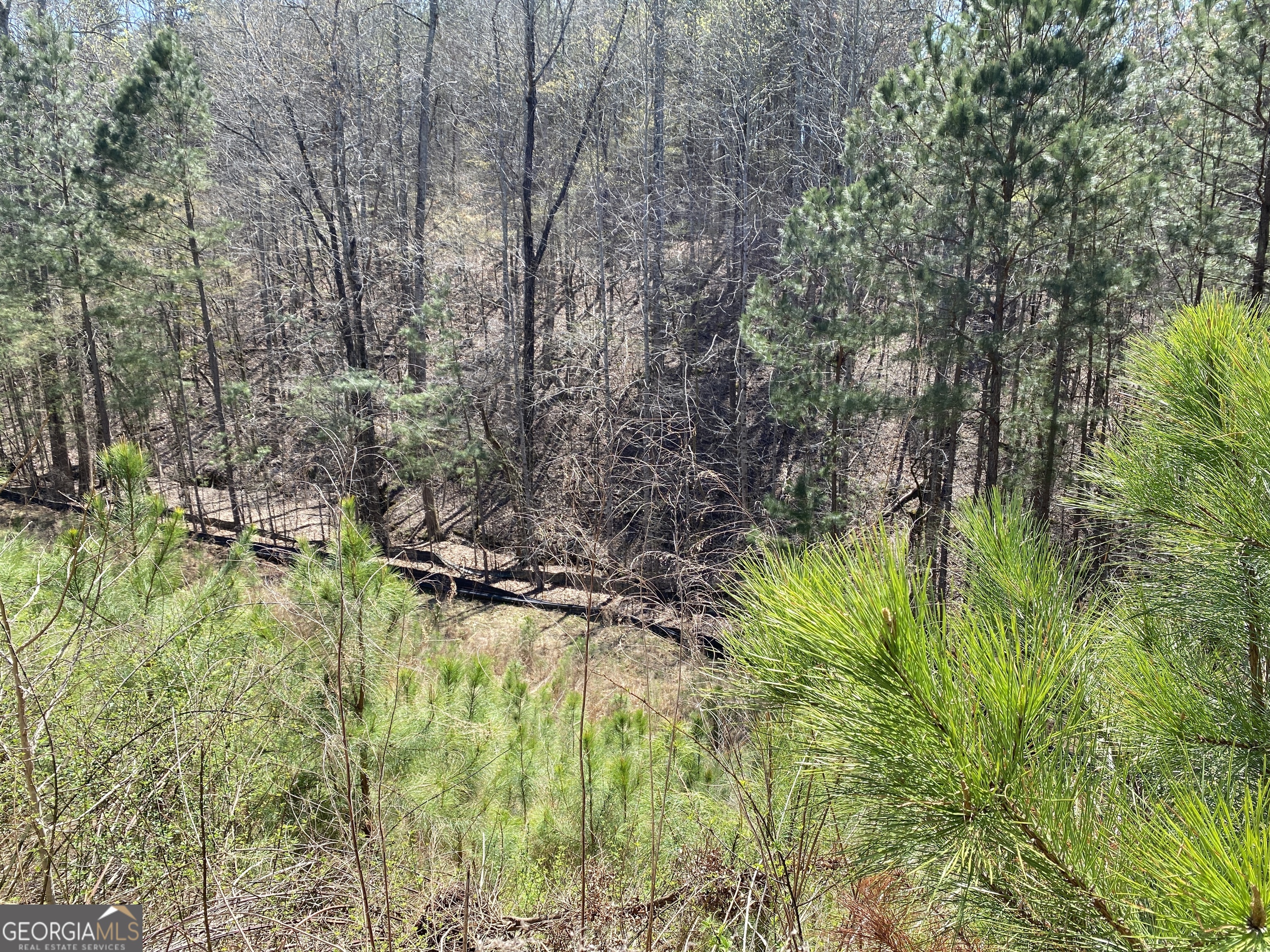 405 Trumpet Circle Property Photo 1