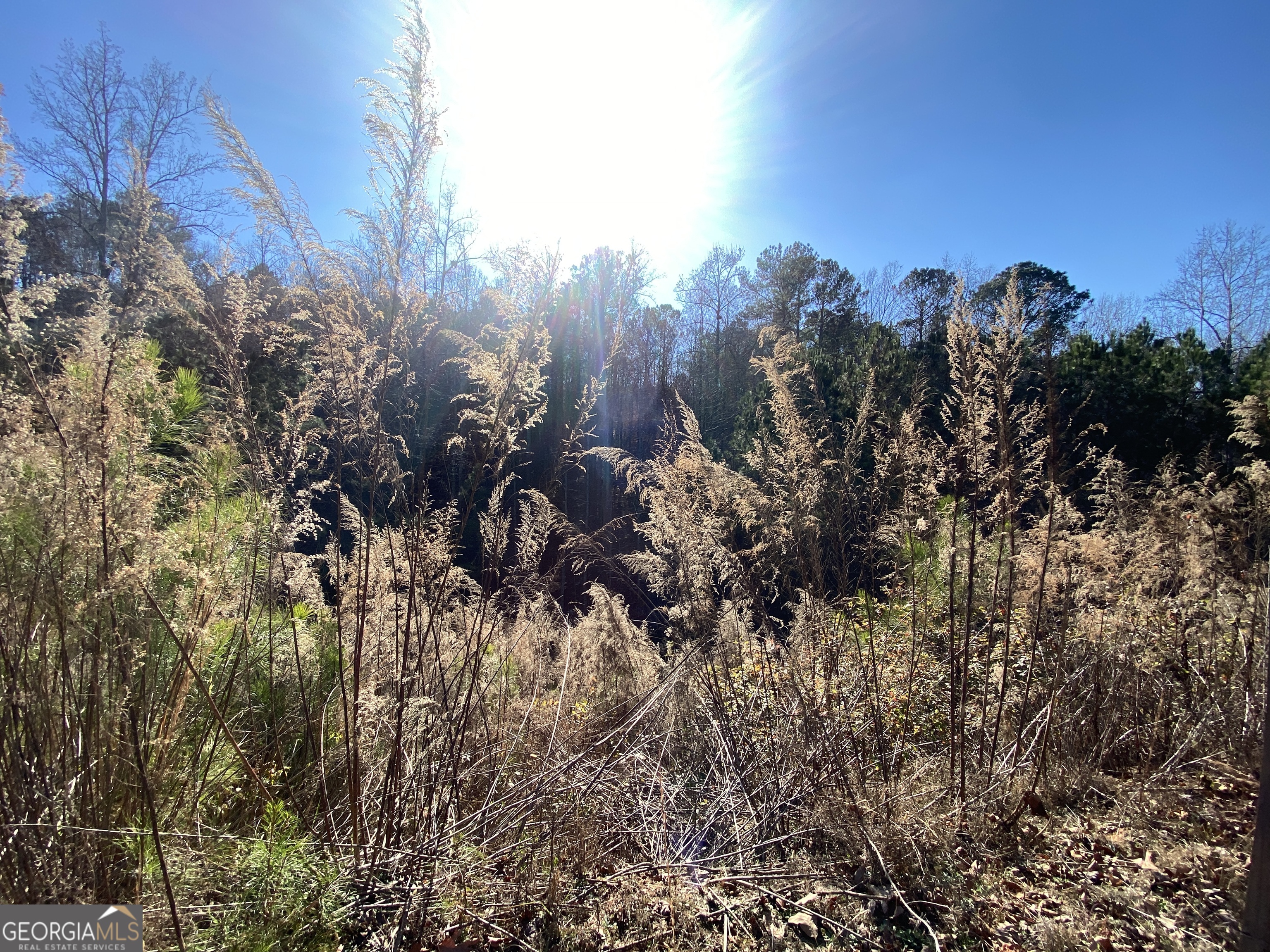405 Trumpet Circle Property Photo 4