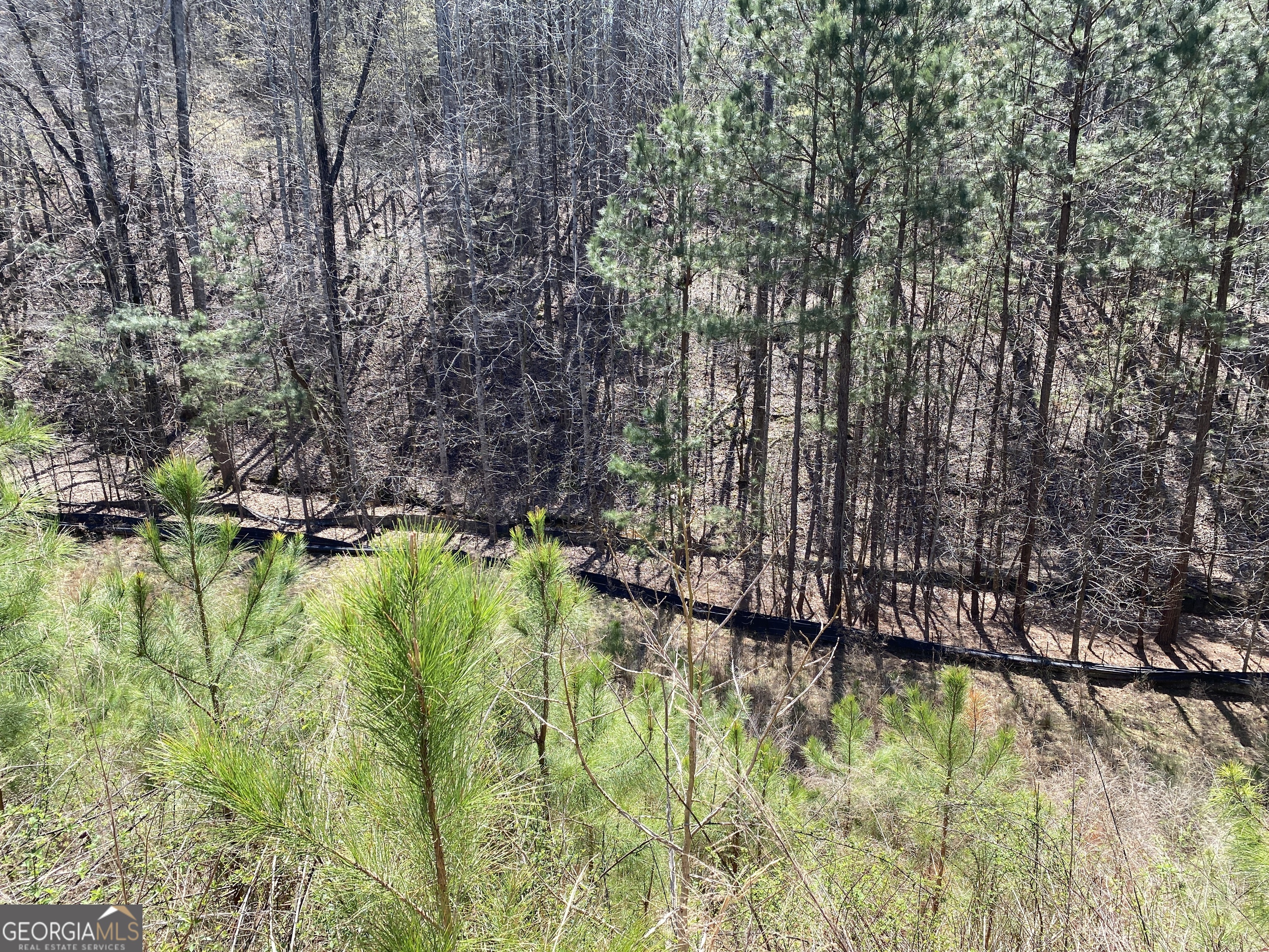405 Trumpet Circle Property Photo 11