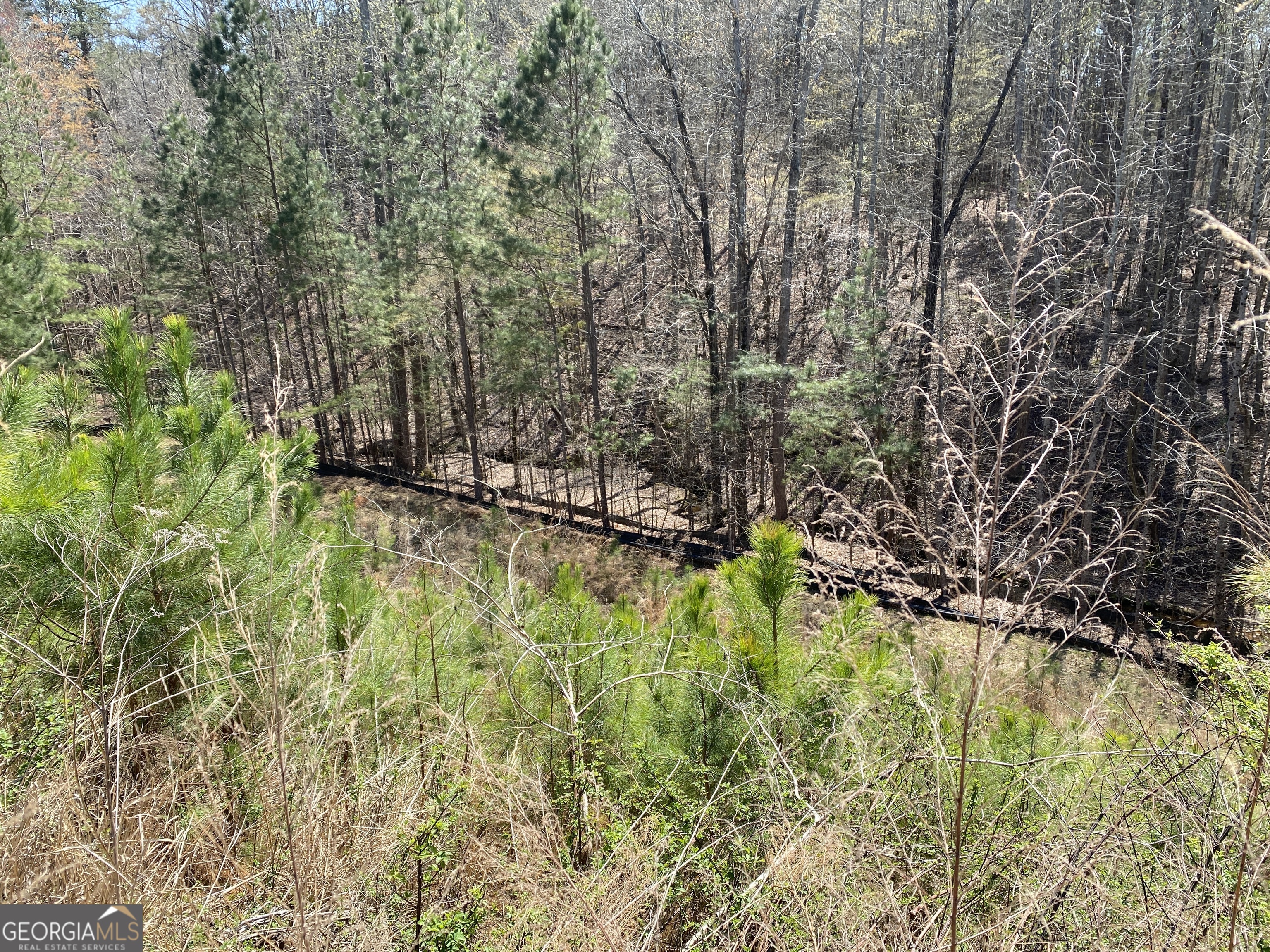 405 Trumpet Circle Property Photo 12