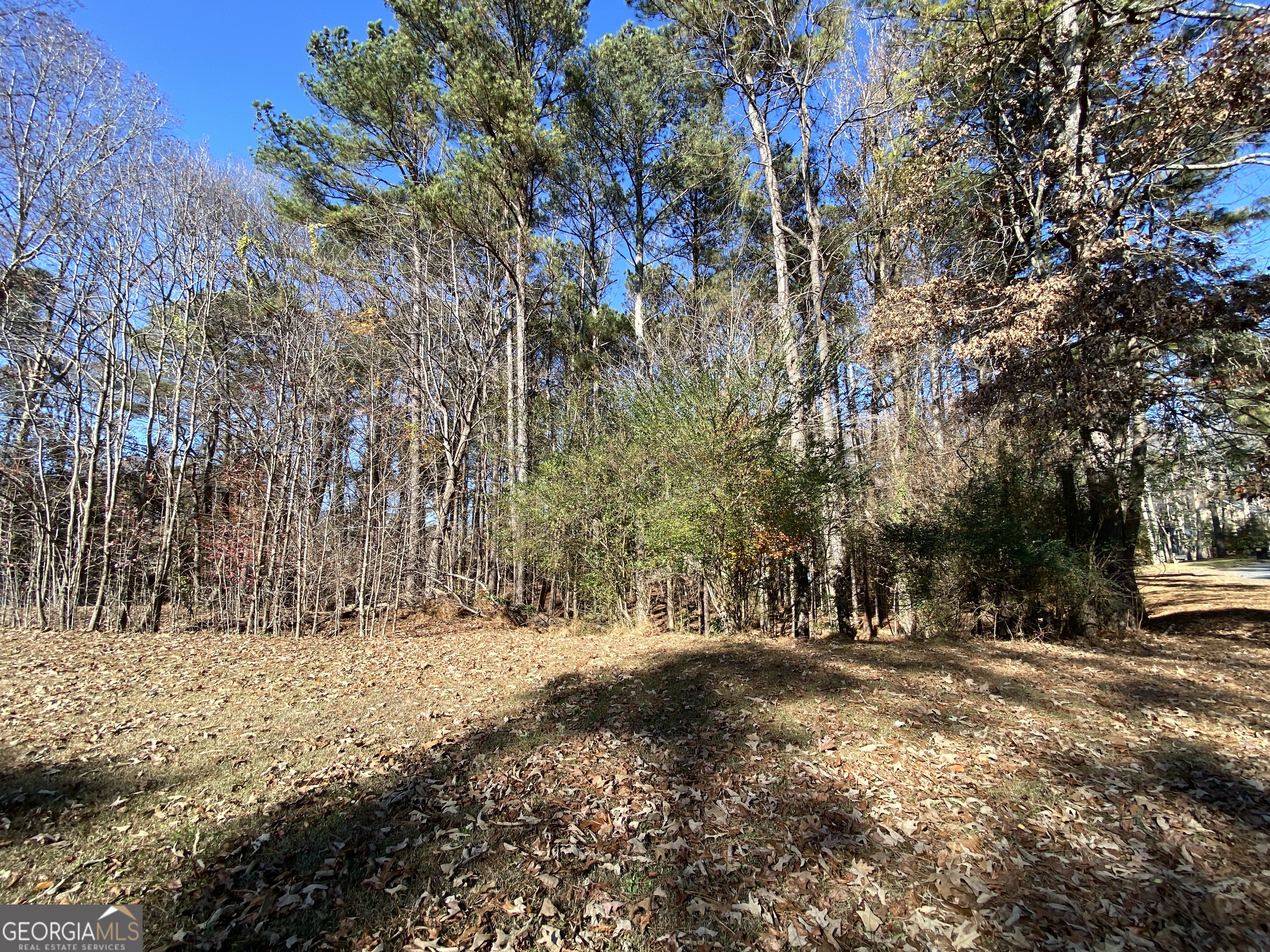 0 Black Oak Trail Property Photo 2