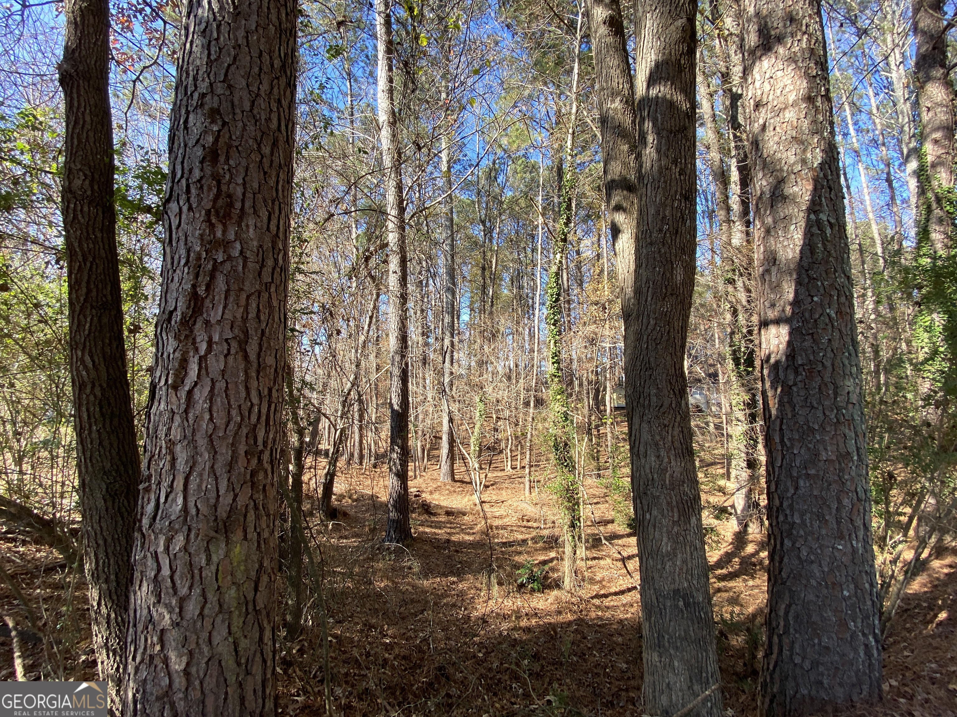 0 Black Oak Trail Property Photo 3