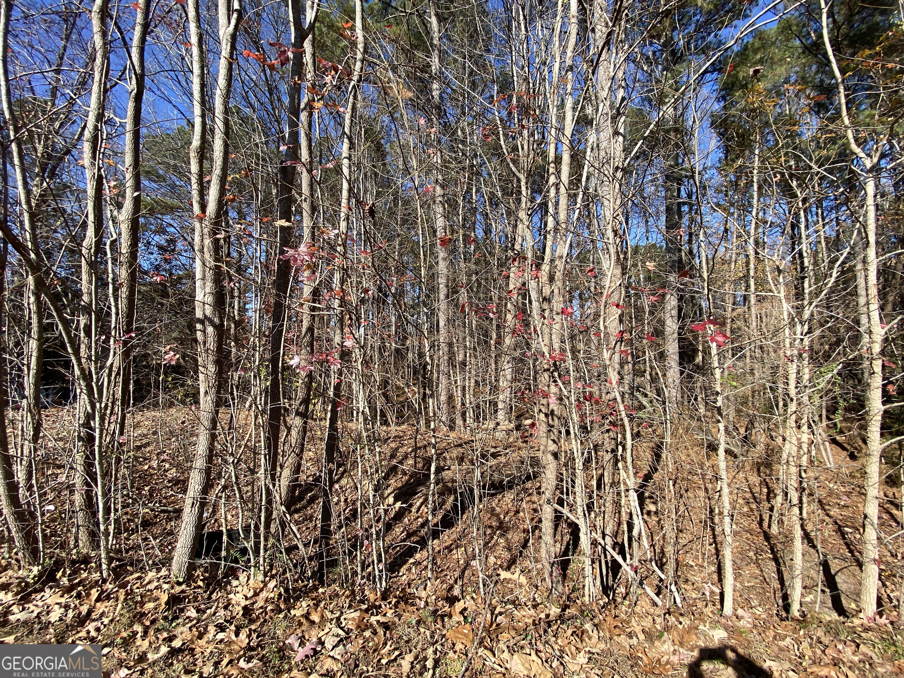 0 Black Oak Trail Property Photo 6