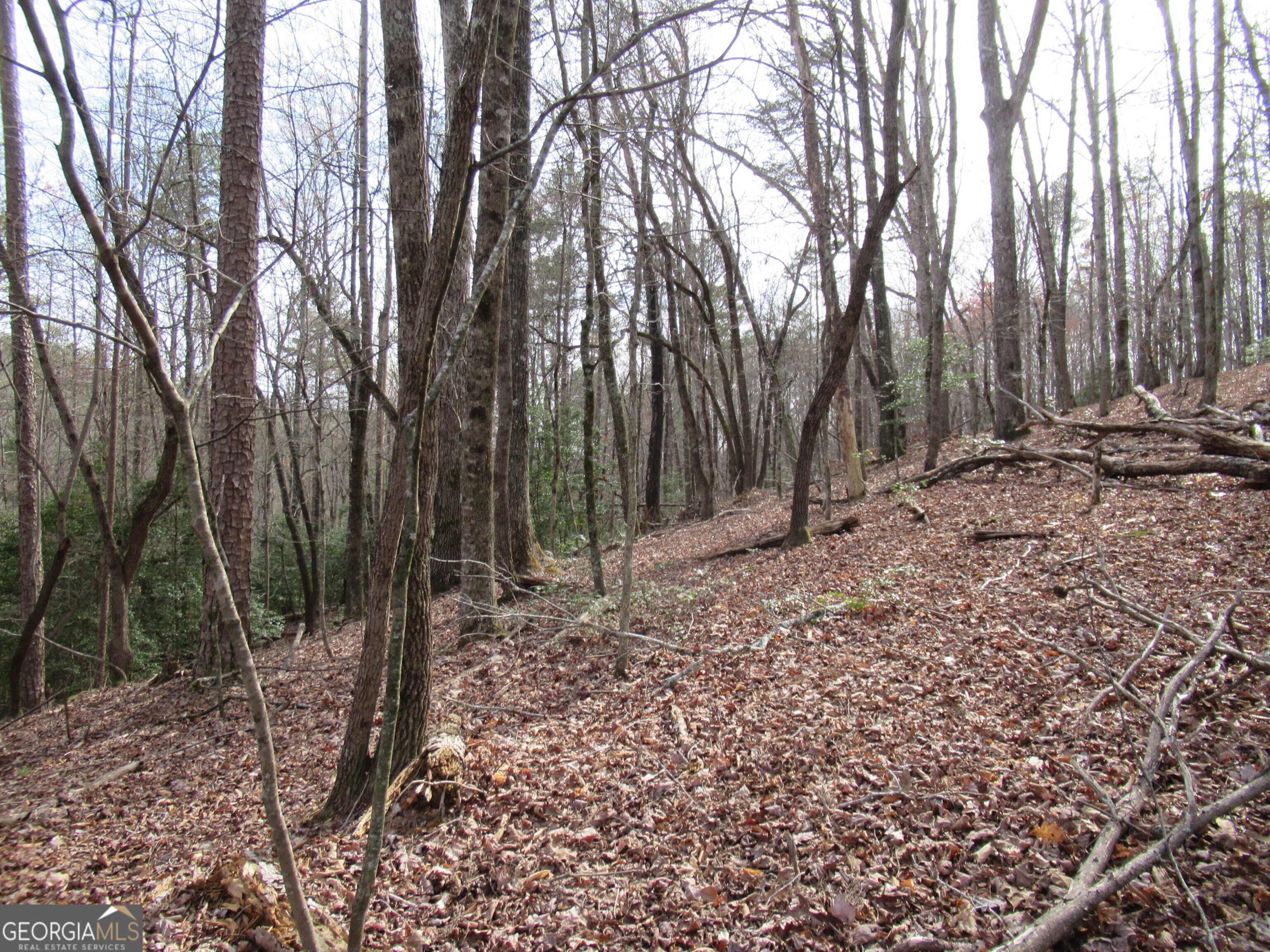 0 Long Branch Road Property Photo 1