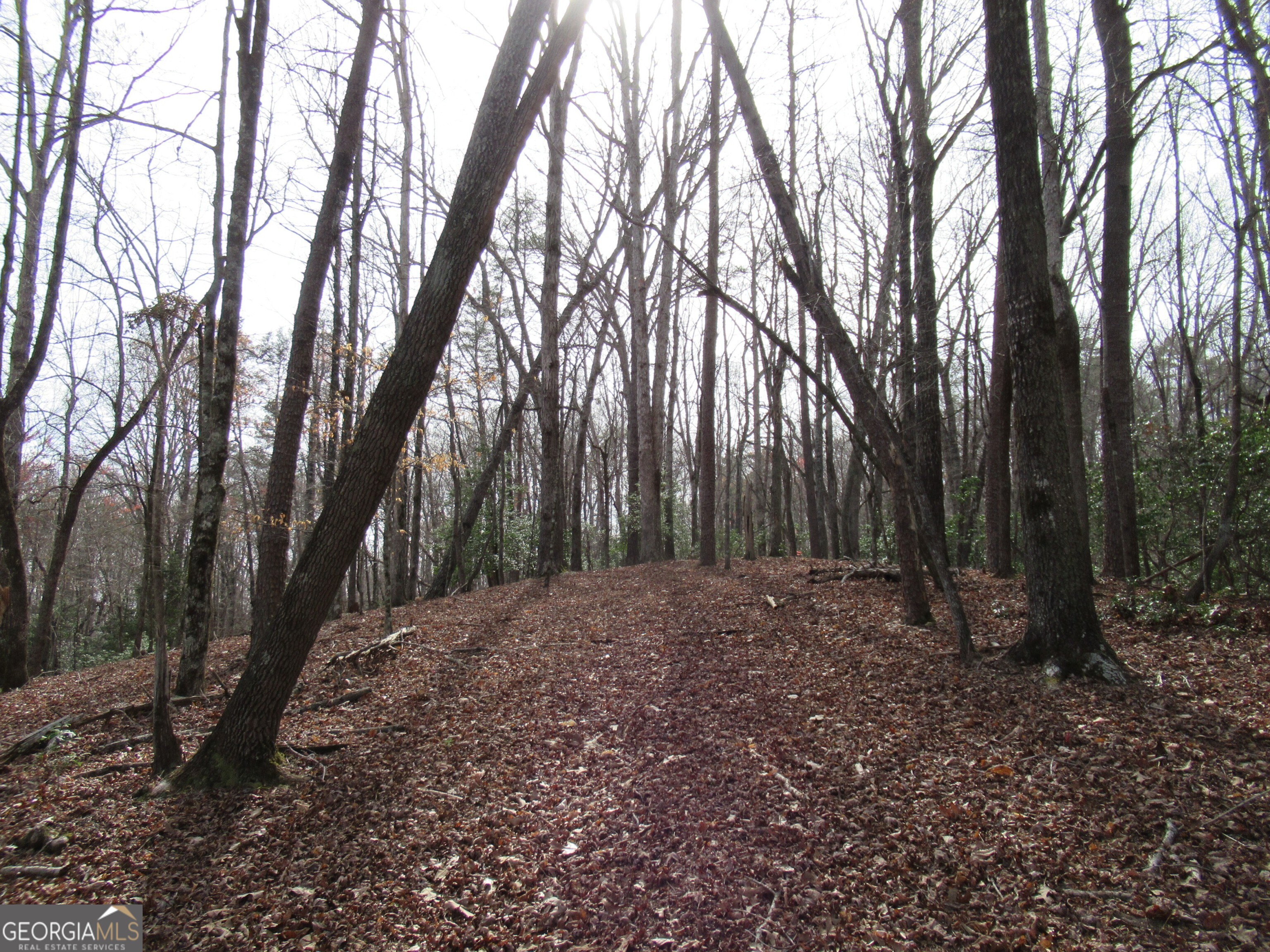 0 Long Branch Road Property Photo 2