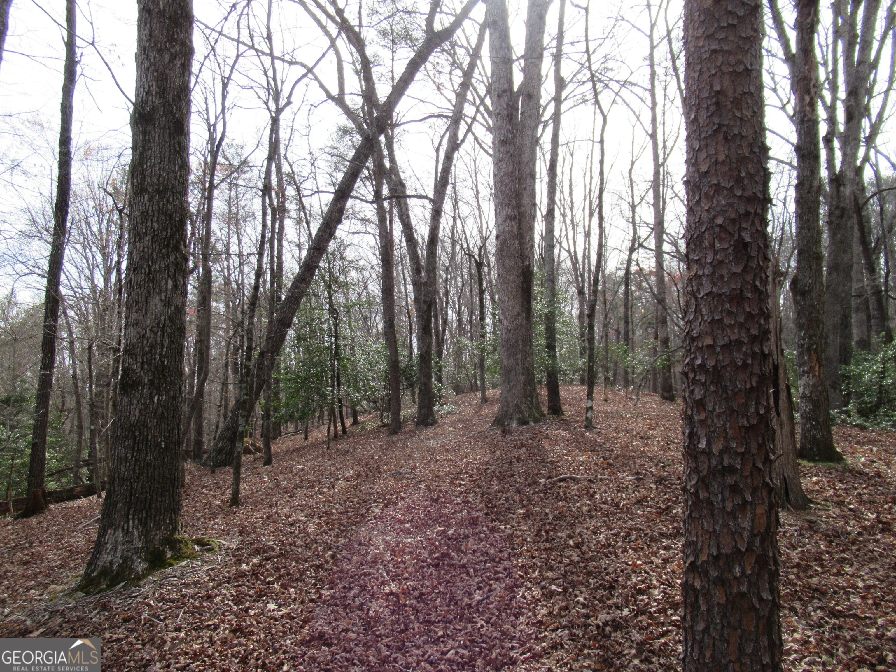 0 Long Branch Road Property Photo 3