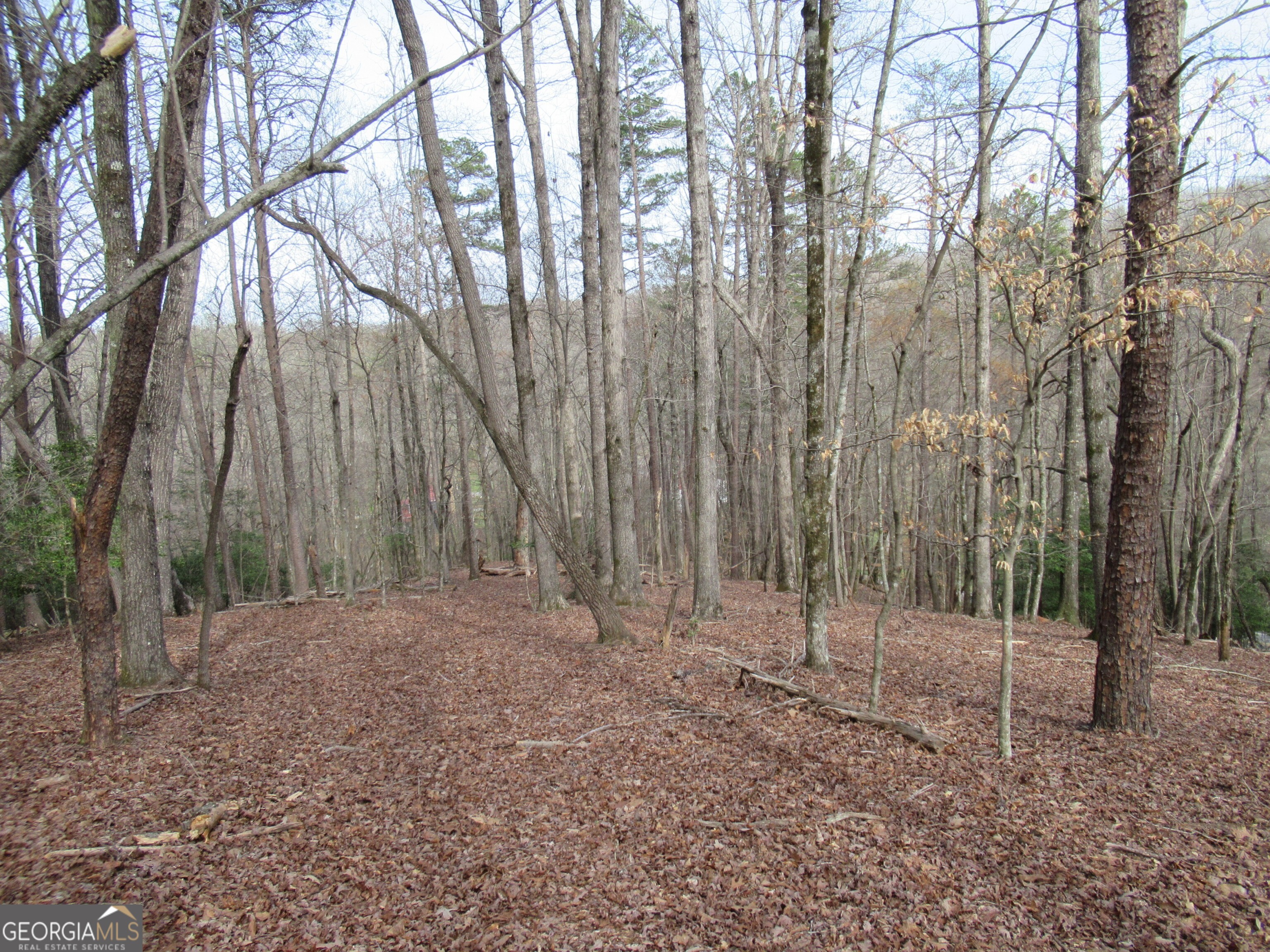 0 Long Branch Road Property Photo 6