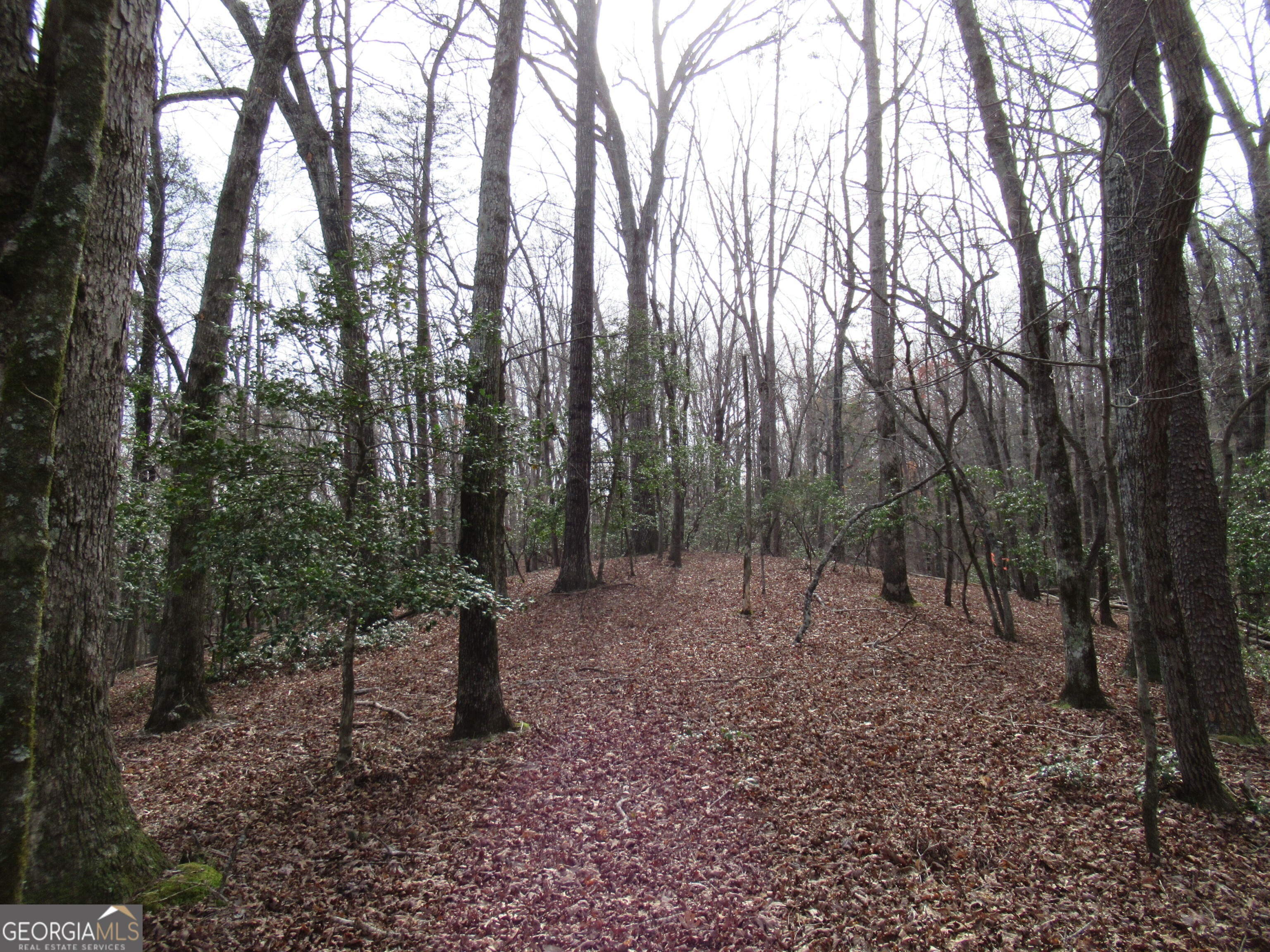 0 Long Branch Road Property Photo 7
