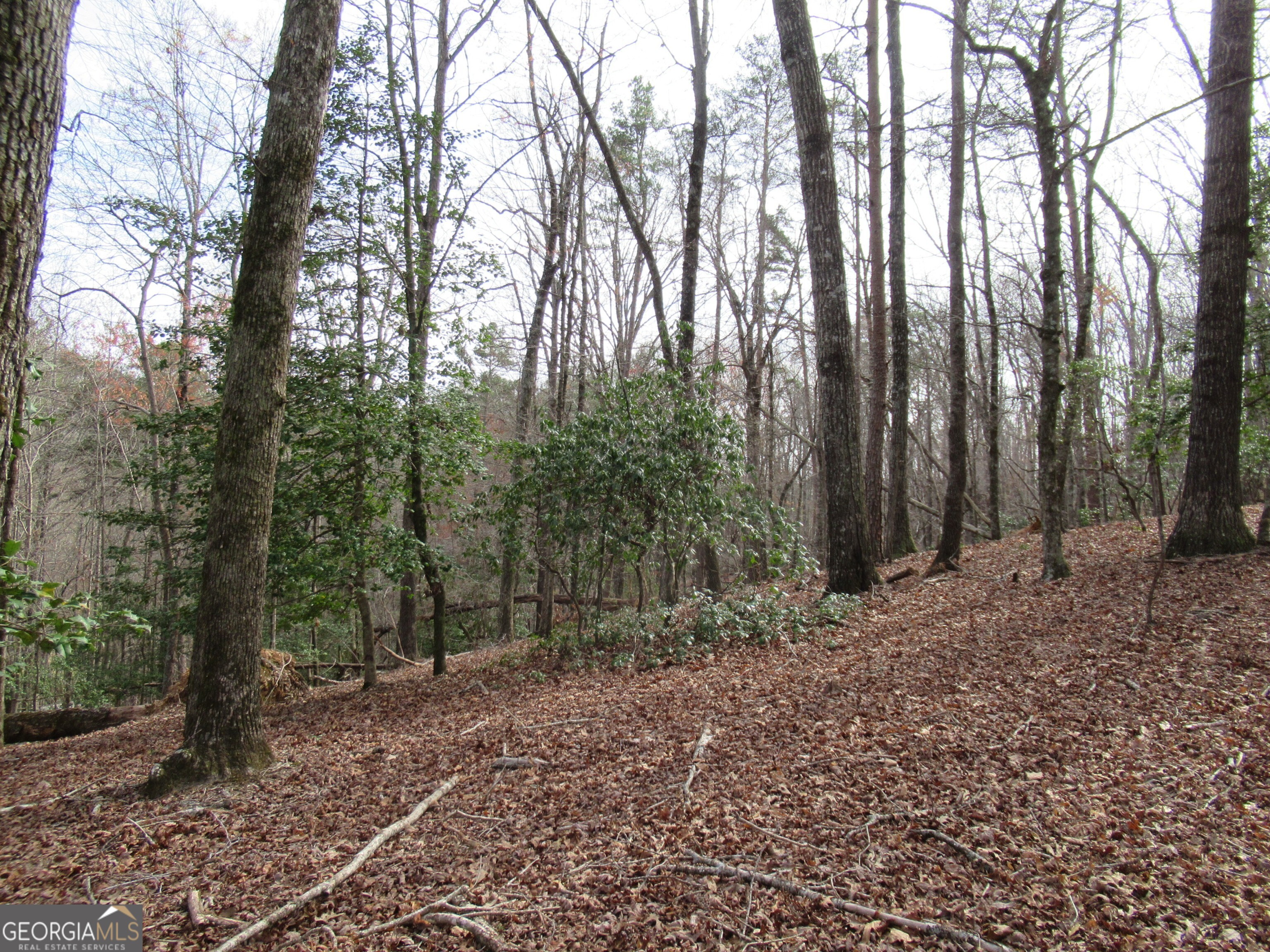 0 Long Branch Road Property Photo 8