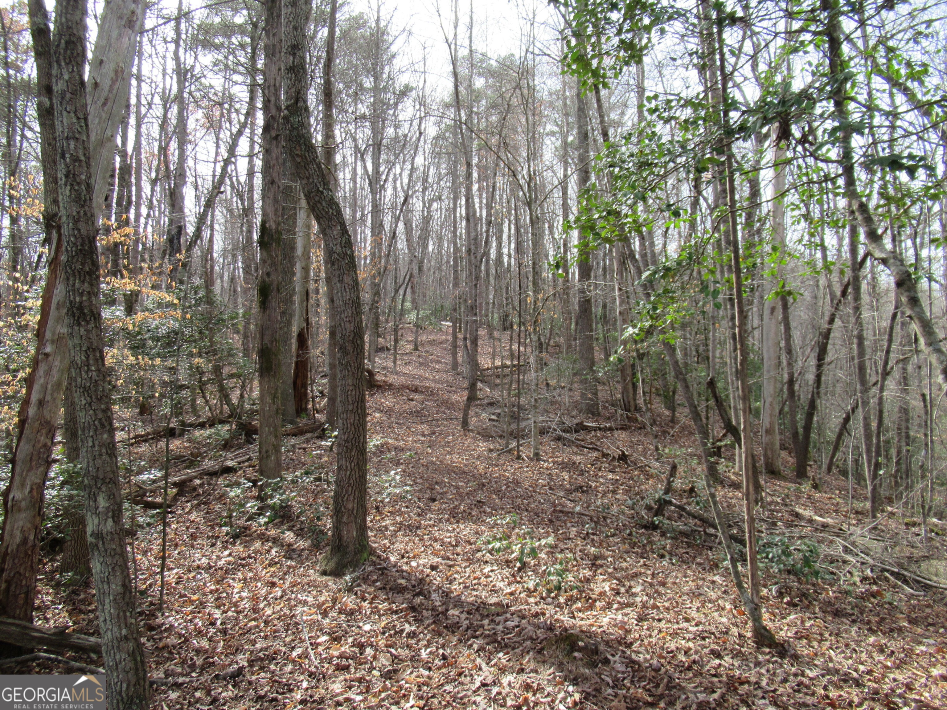0 Long Branch Road