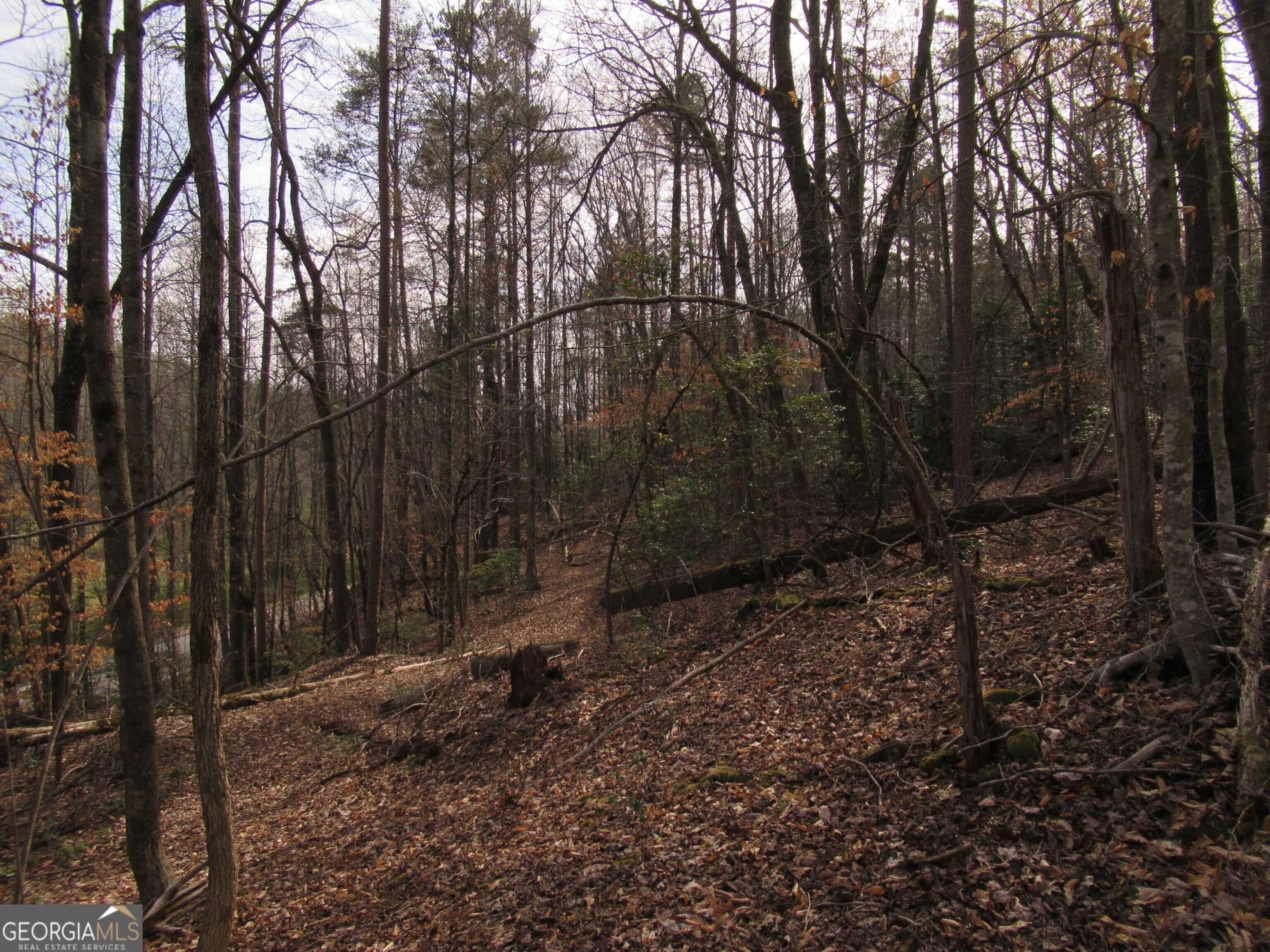 0 Long Branch Road Property Photo 2
