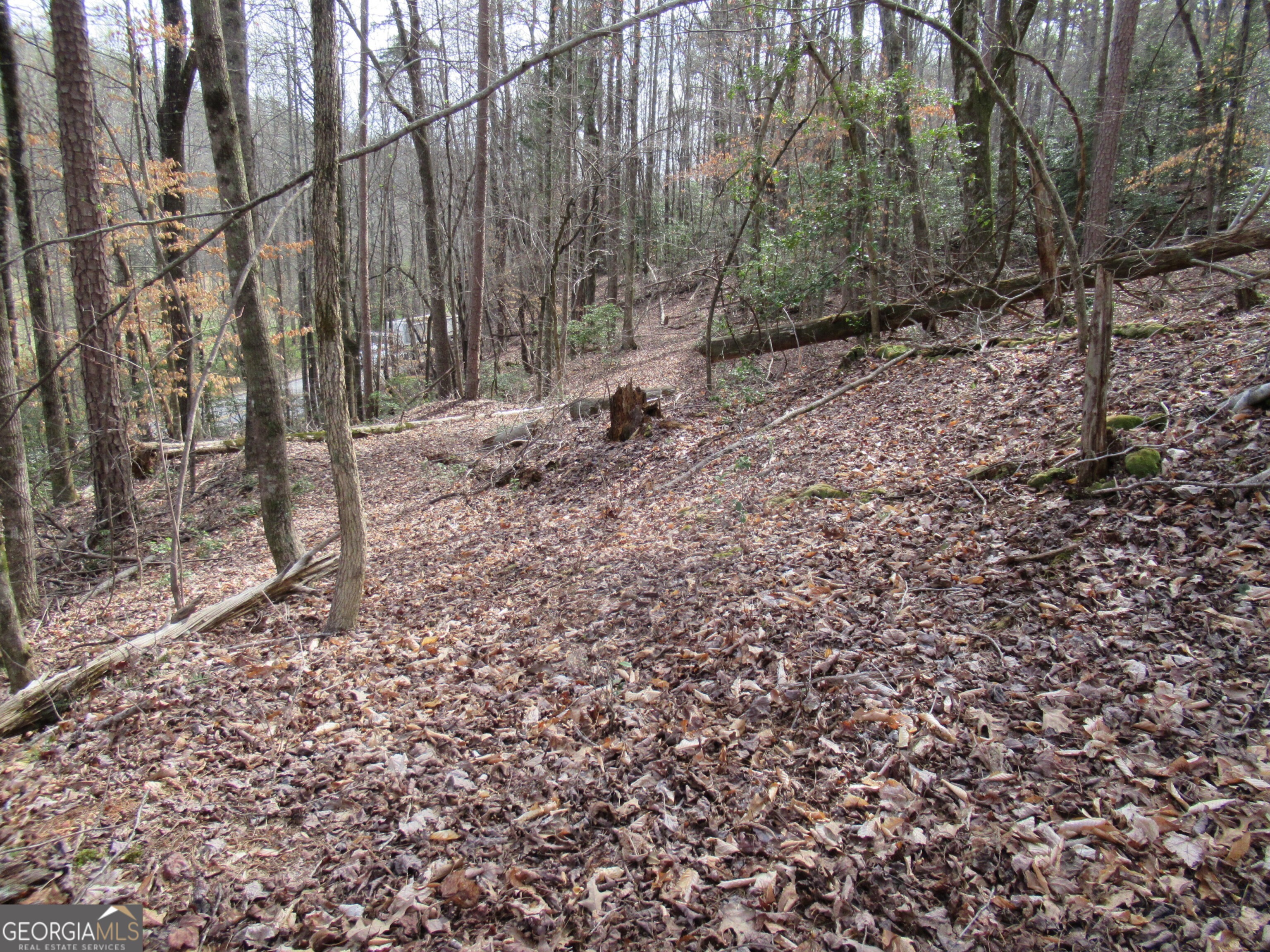0 Long Branch Road Property Photo 3