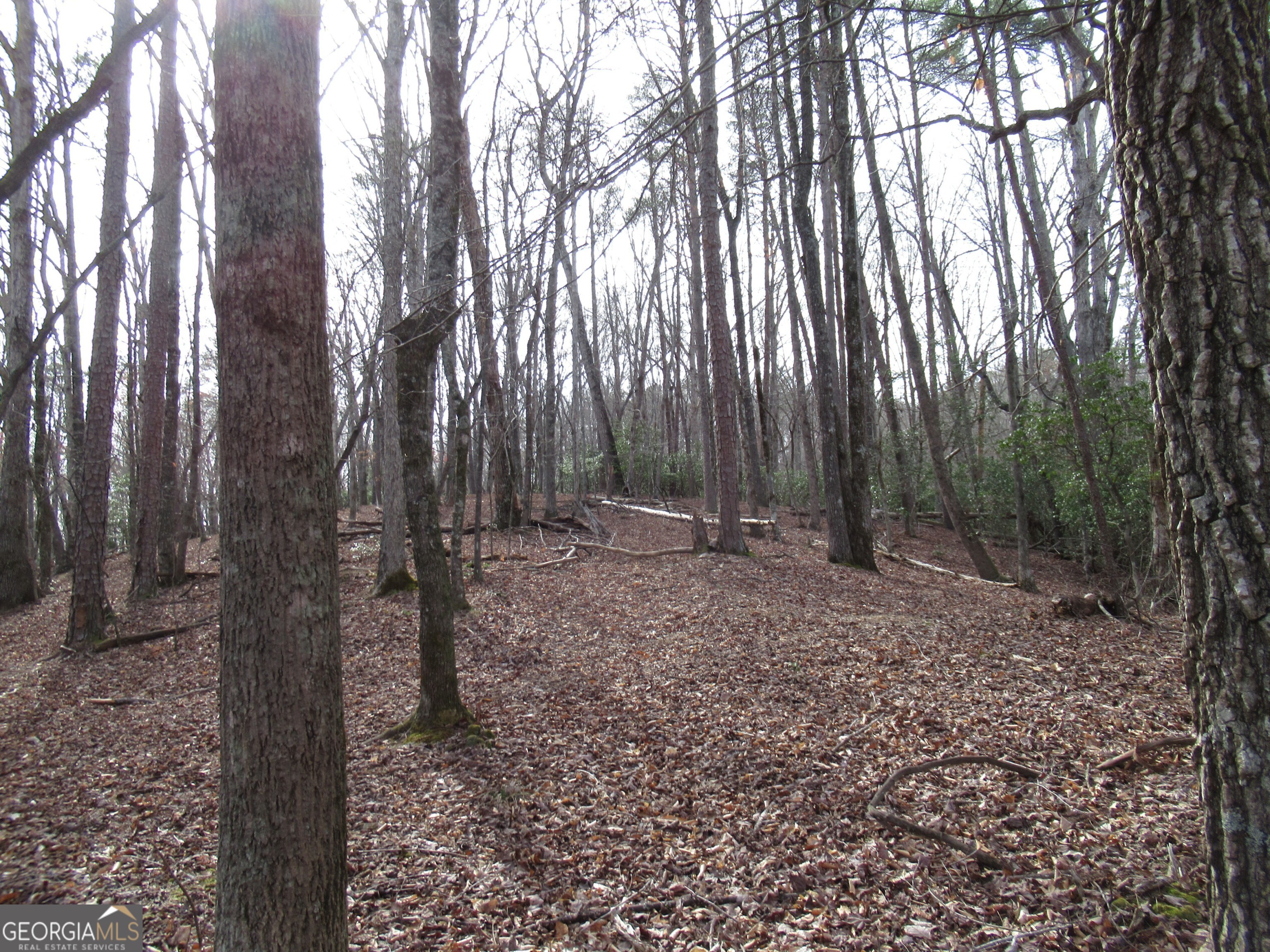0 Long Branch Road Property Photo 5