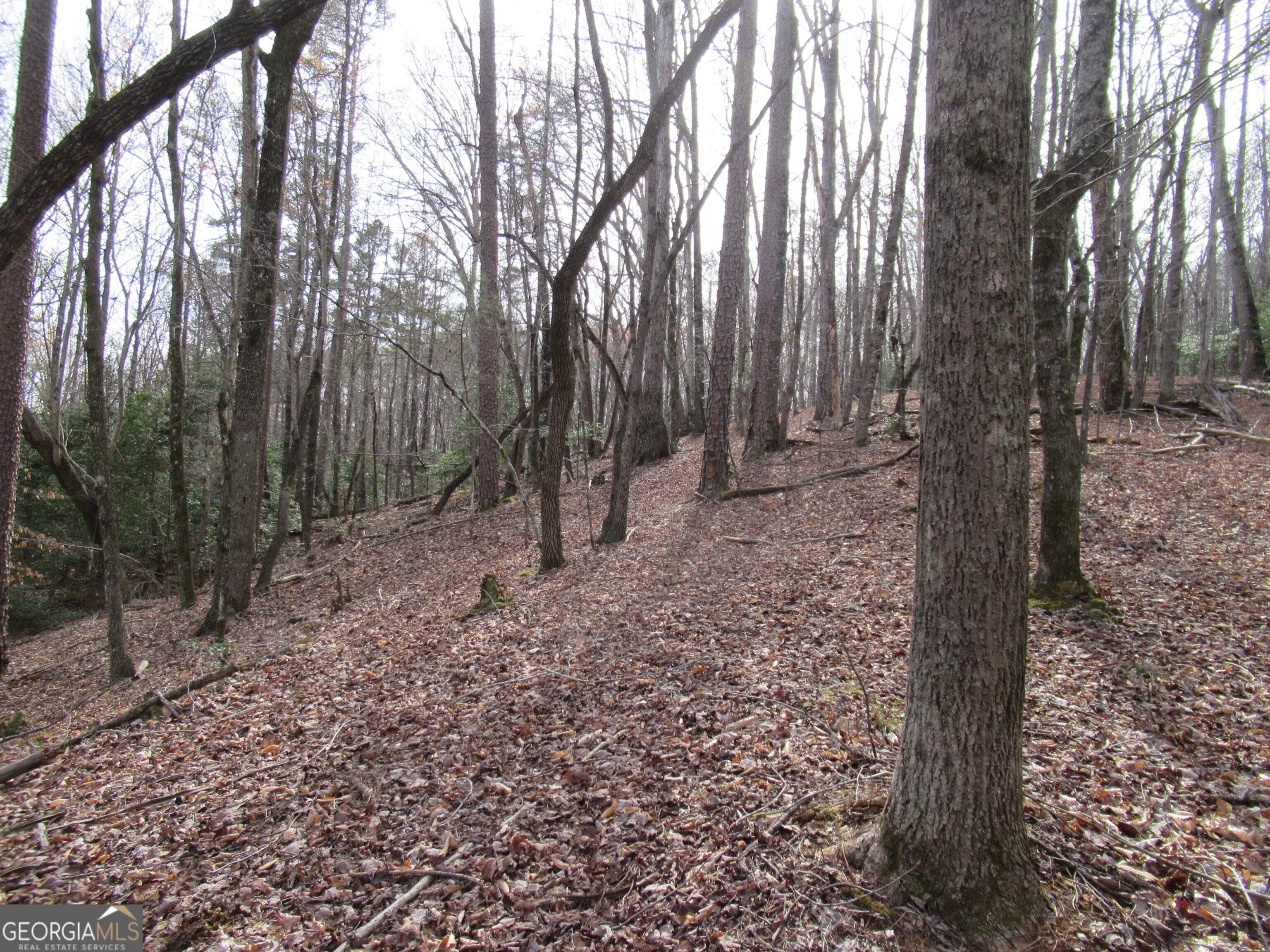 0 Long Branch Road Property Photo 6