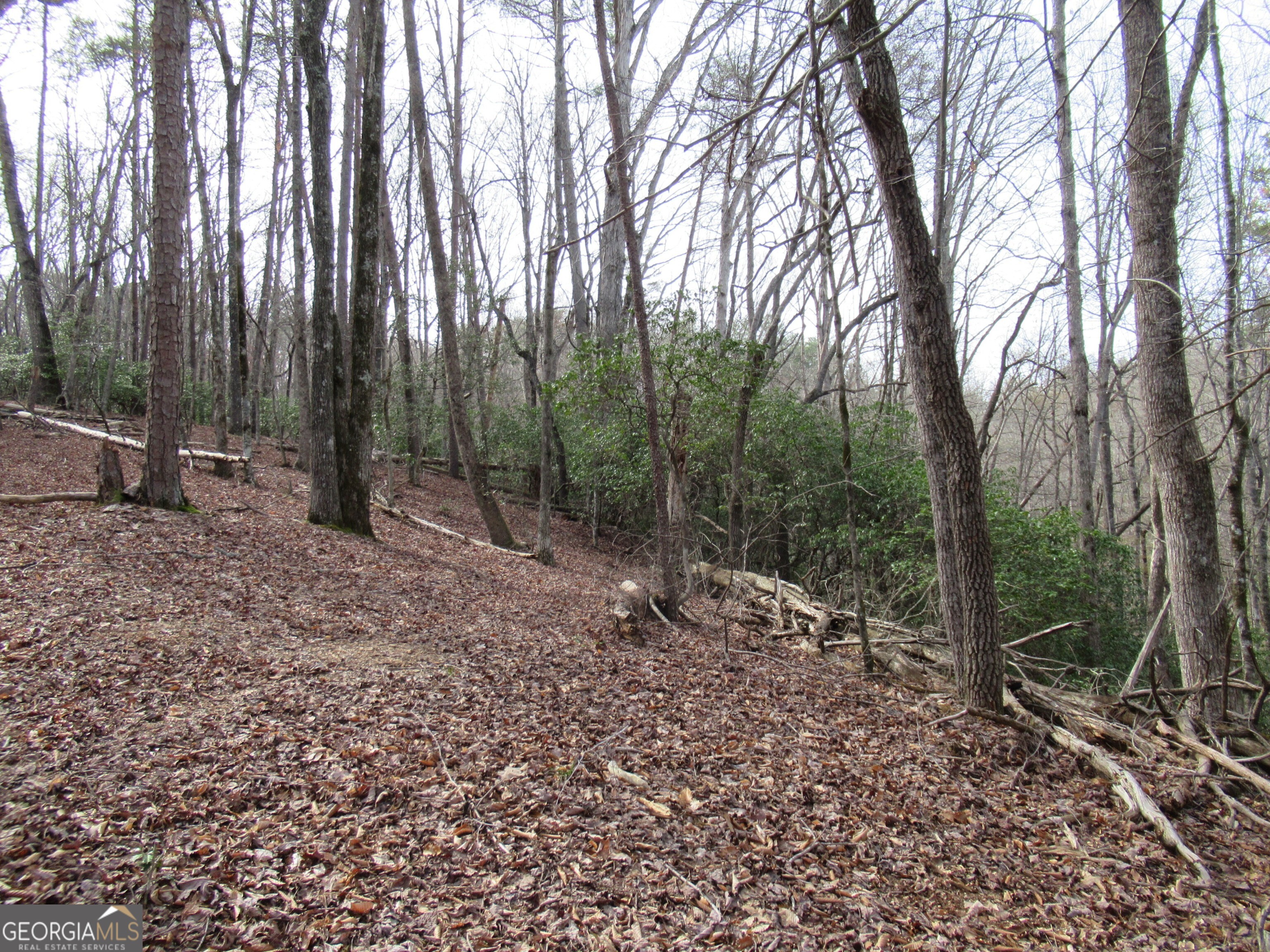 0 Long Branch Road Property Photo 7