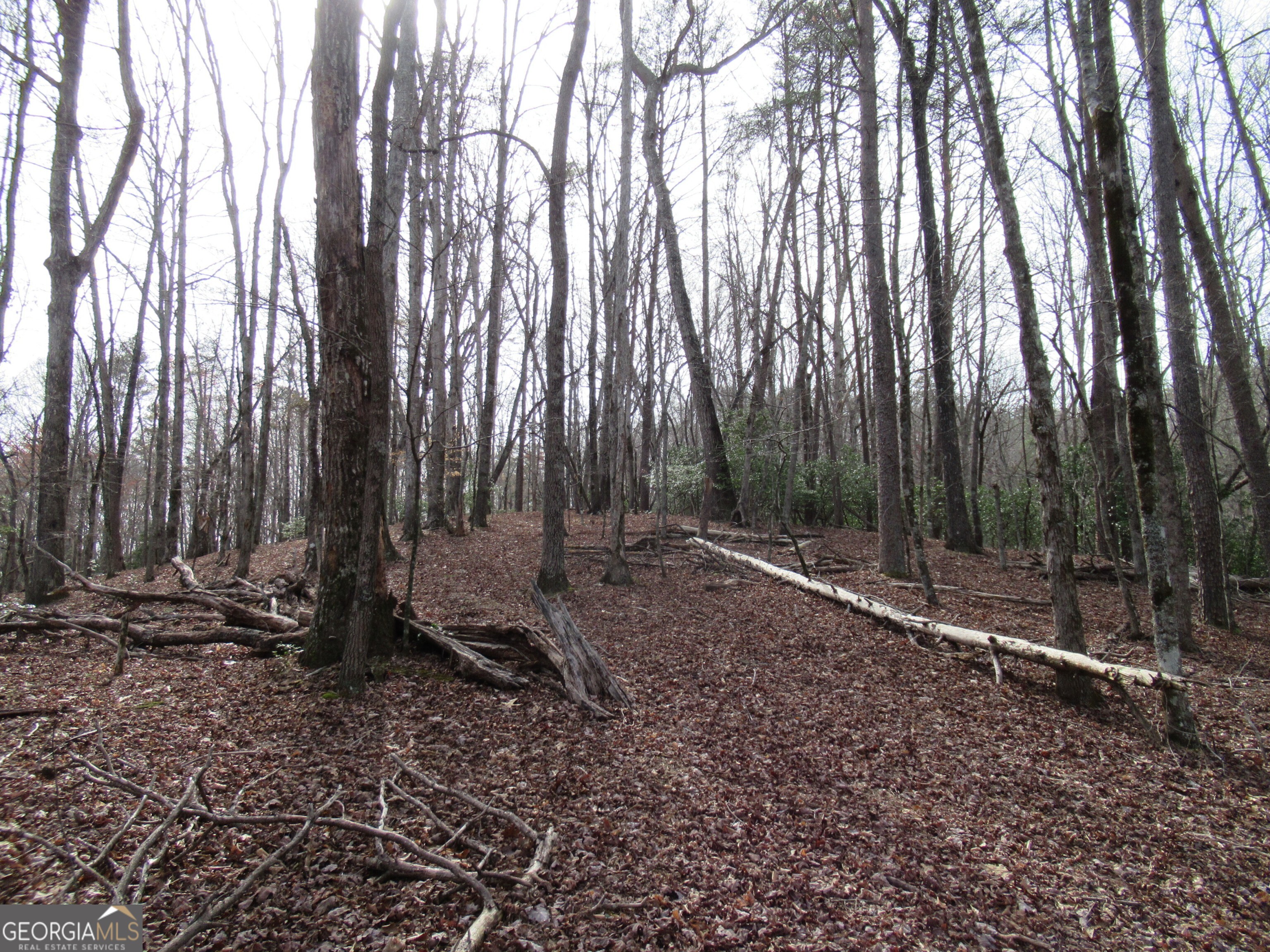 0 Long Branch Road Property Photo 8