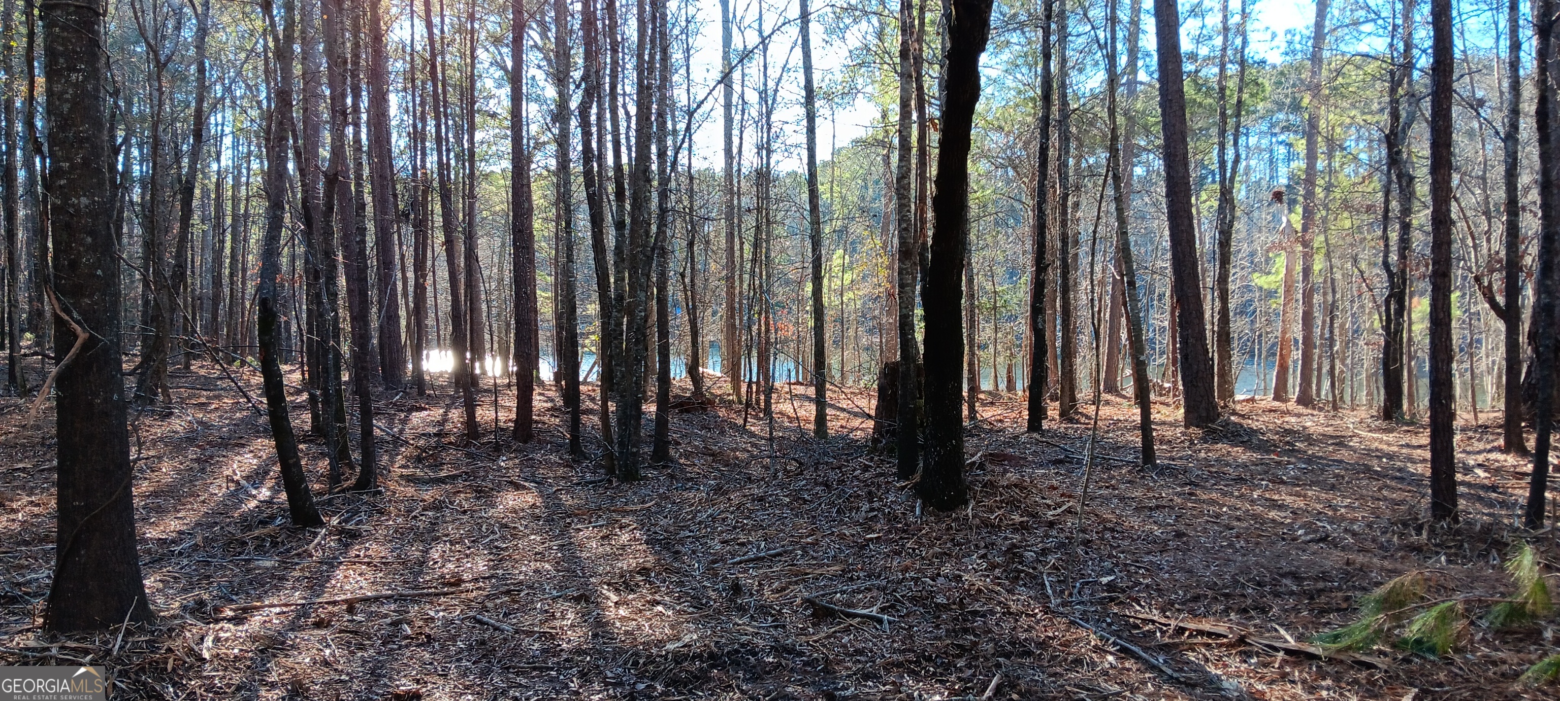 0 Cedardale Drive Property Photo 12