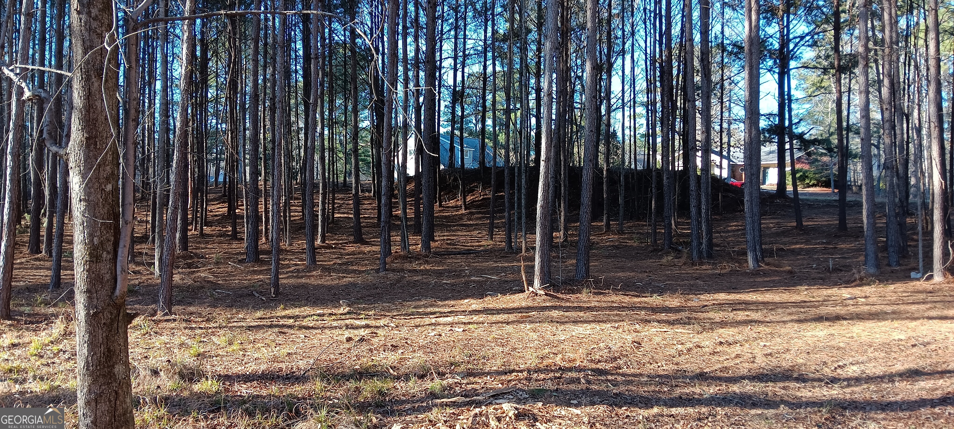 0 Cedardale Drive Property Photo 14