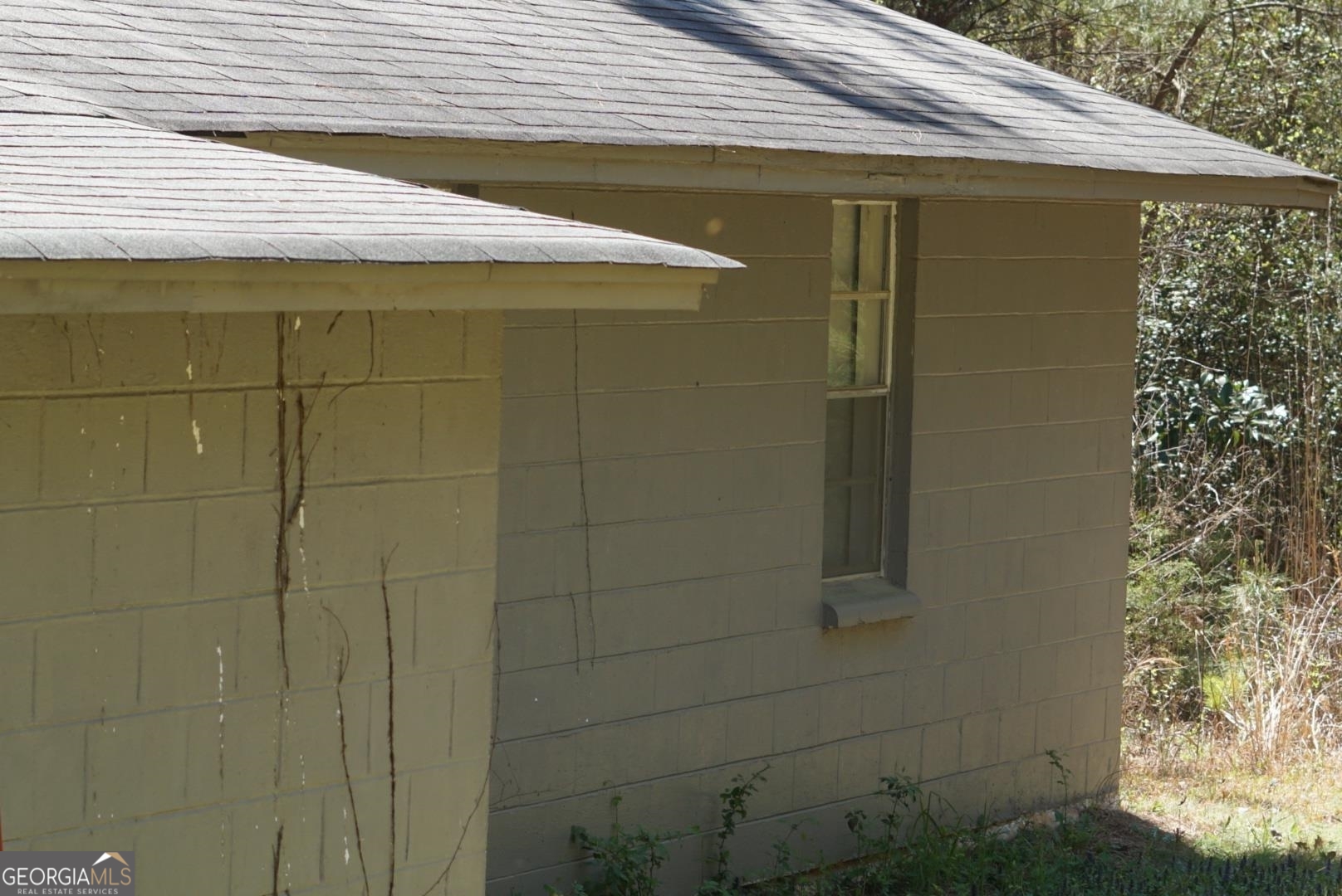 1415 Bobby Brown State Park Road Property Photo 7