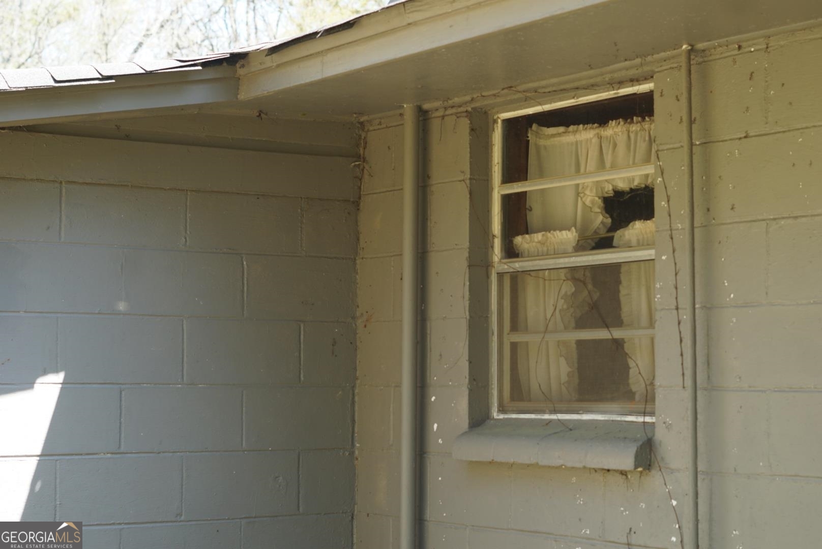 1415 Bobby Brown State Park Road Property Photo 10