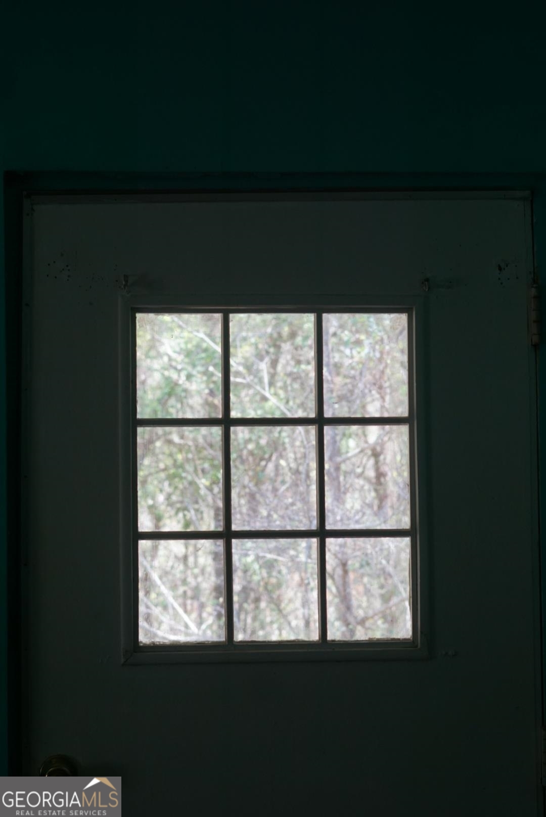 1415 Bobby Brown State Park Road Property Photo 19