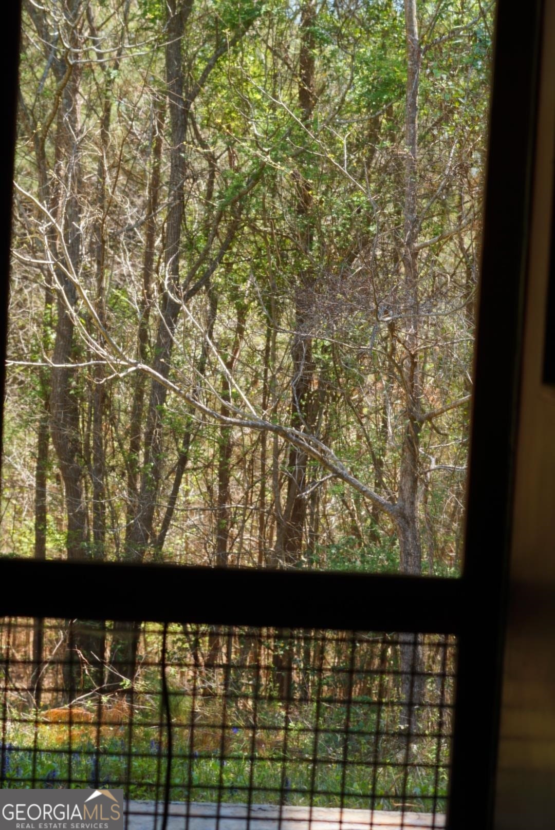 1415 Bobby Brown State Park Road Property Photo 20