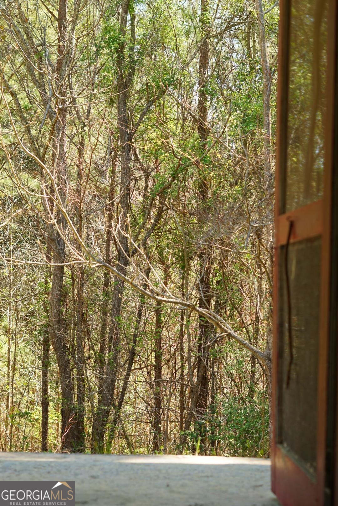 1415 Bobby Brown State Park Road Property Photo 23
