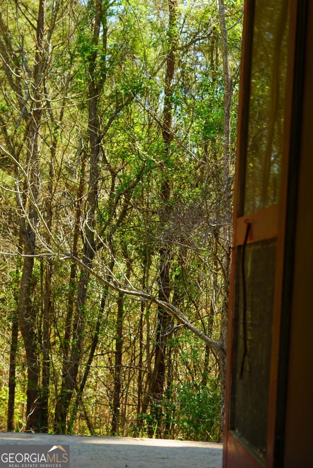 1415 Bobby Brown State Park Road Property Photo 24