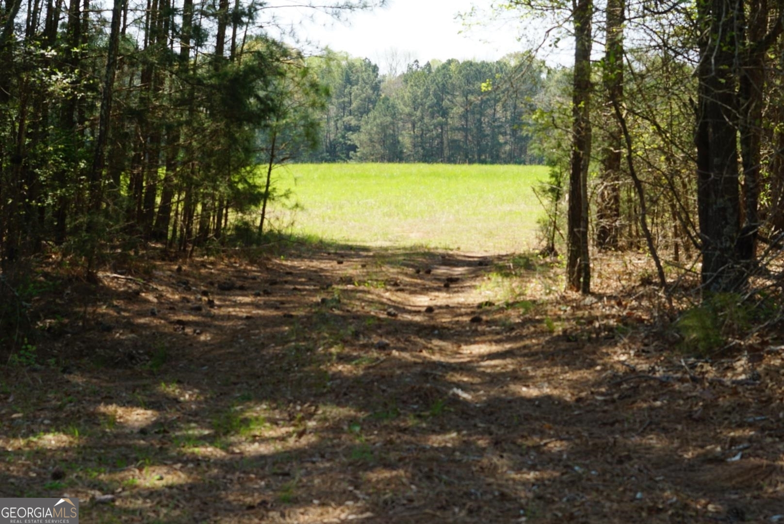 1415 Bobby Brown State Park Road Property Photo 45