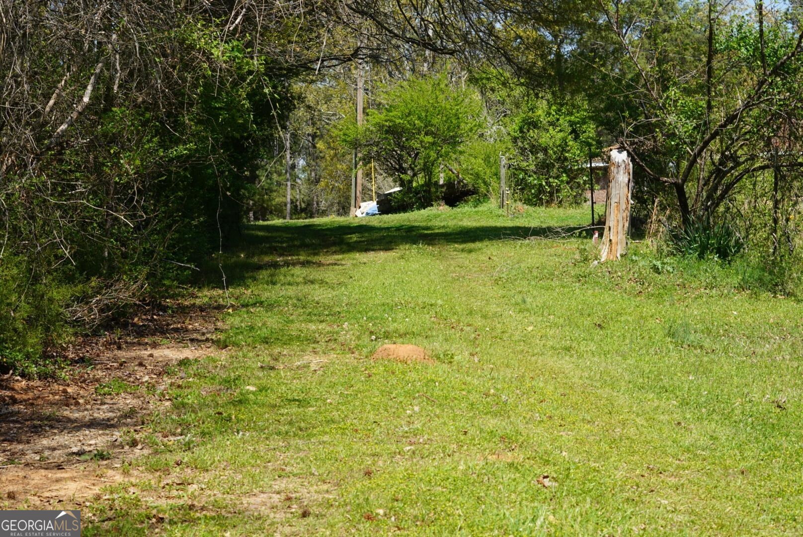 1415 Bobby Brown State Park Road Property Photo 47